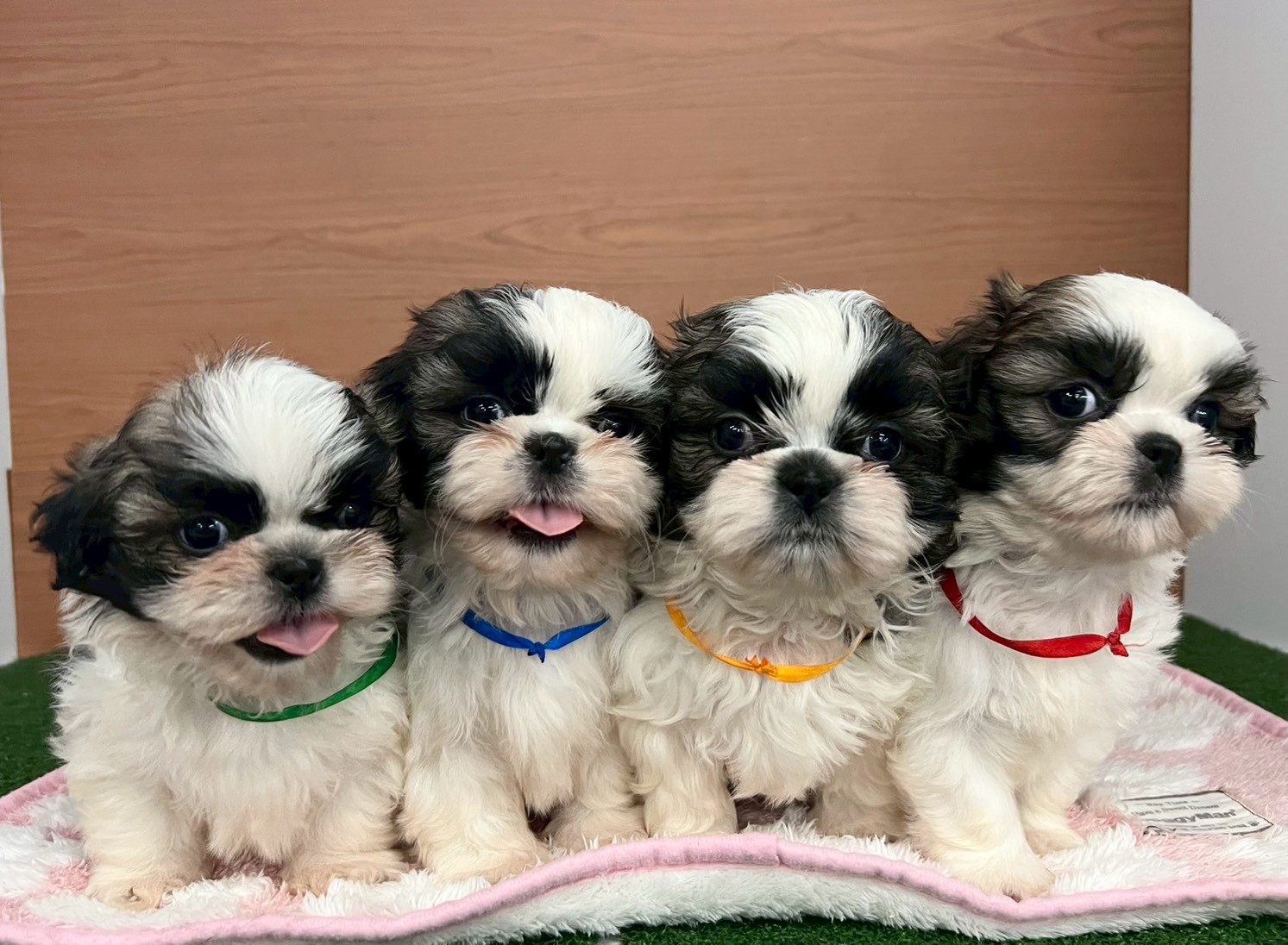 赤ちゃん写真3-3