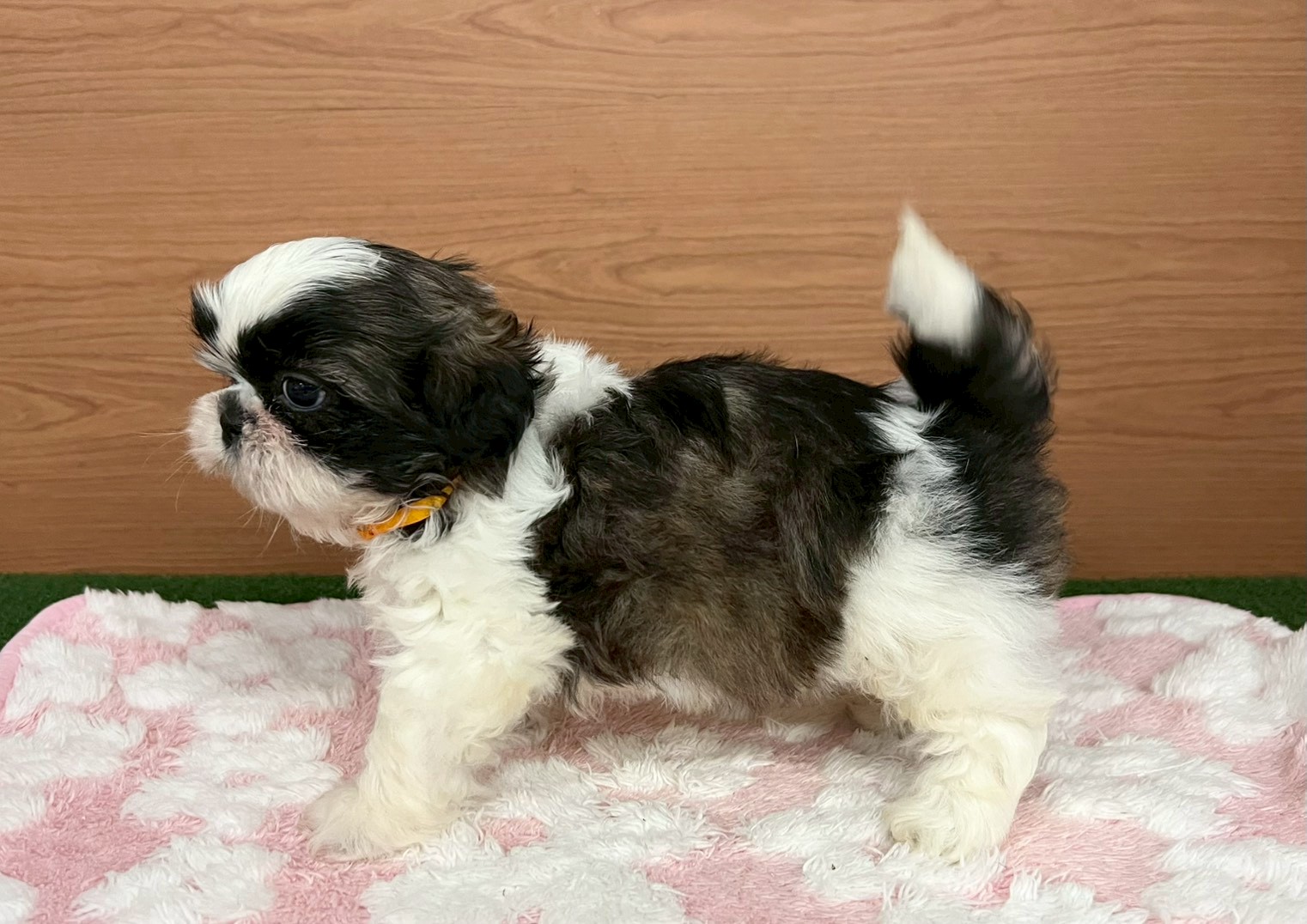 赤ちゃん写真3-2