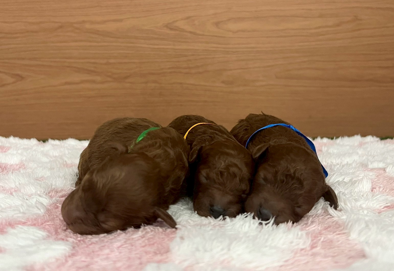 赤ちゃん写真1-3