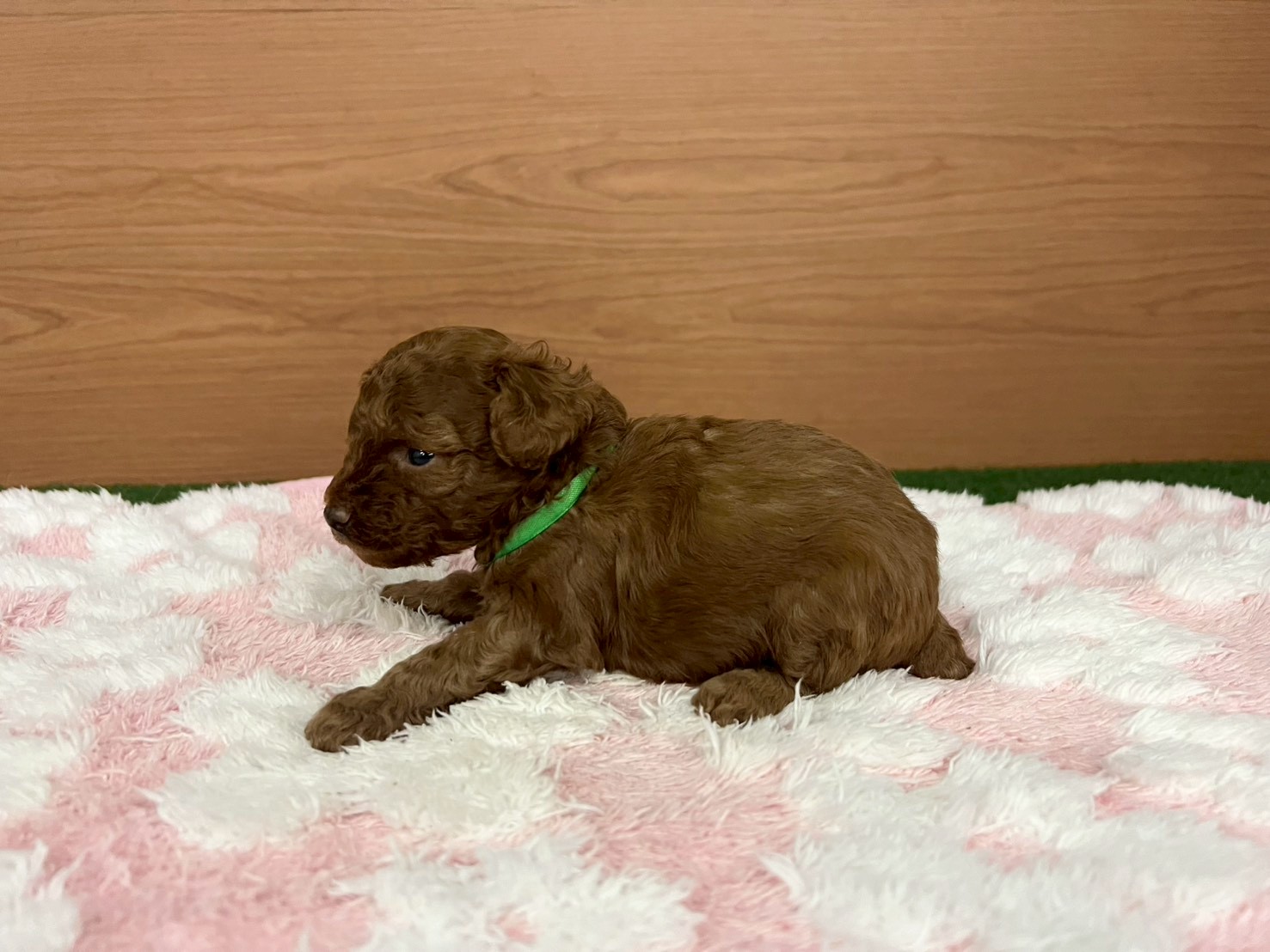 赤ちゃん写真2-2