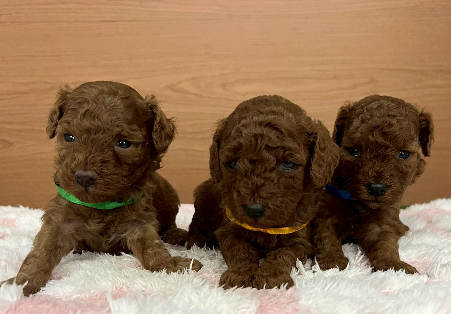 赤ちゃん写真2-3