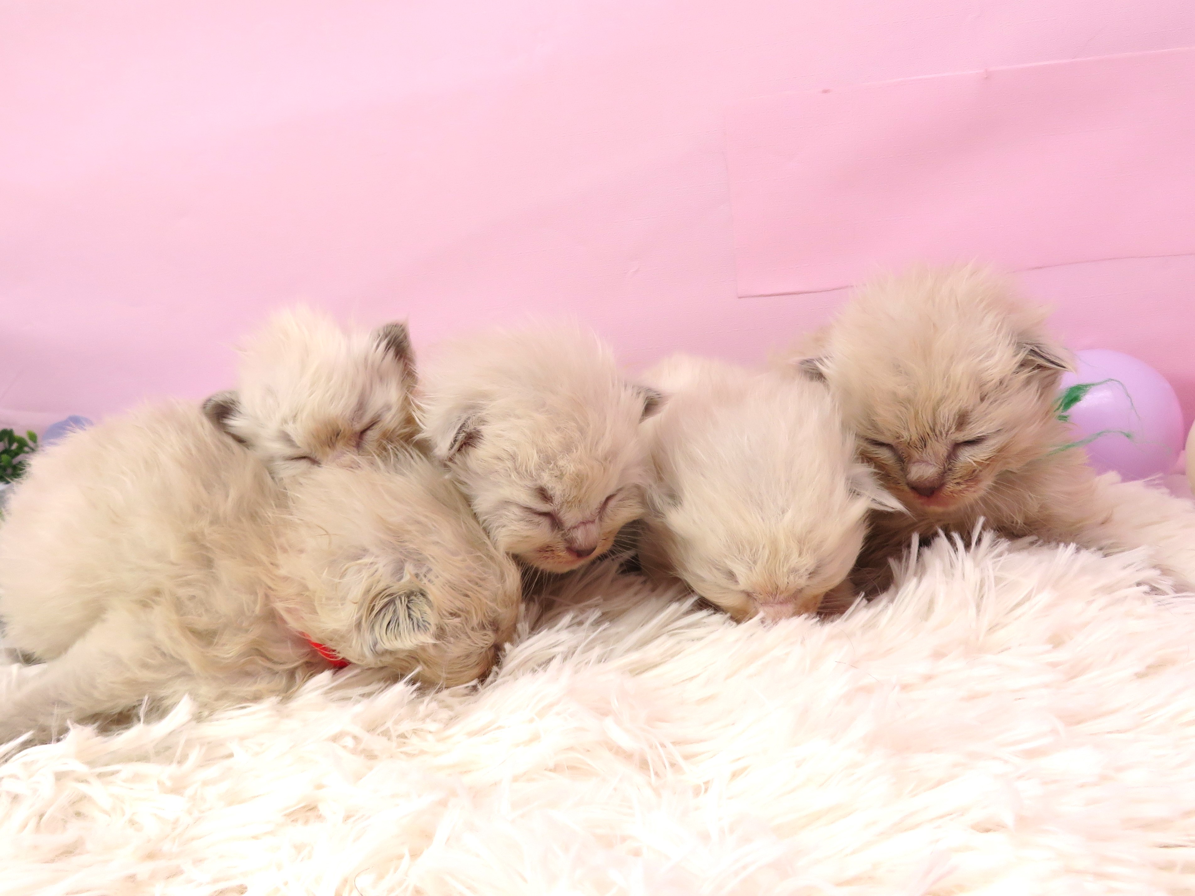 赤ちゃん写真1-3
