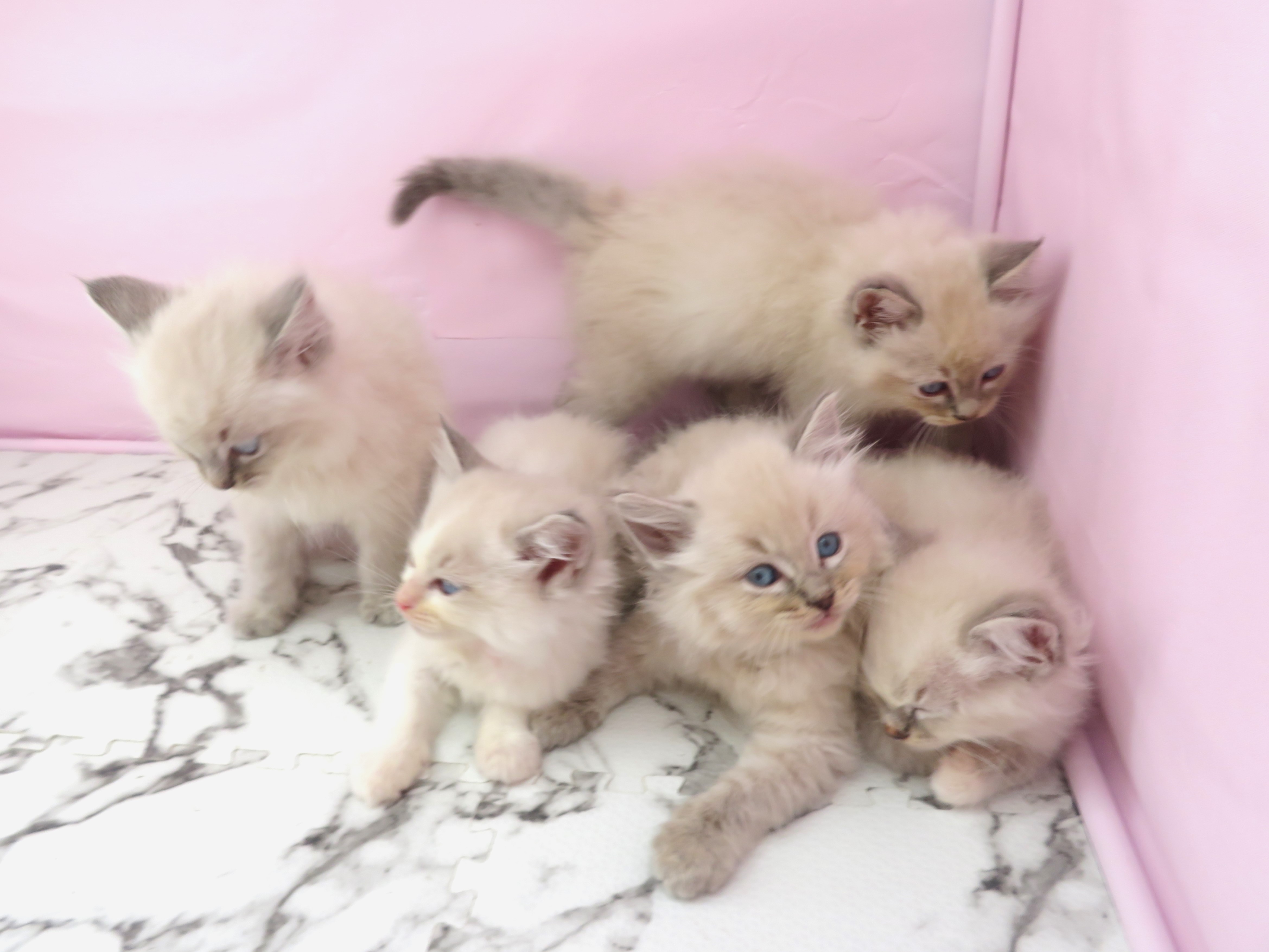 赤ちゃん写真2-3