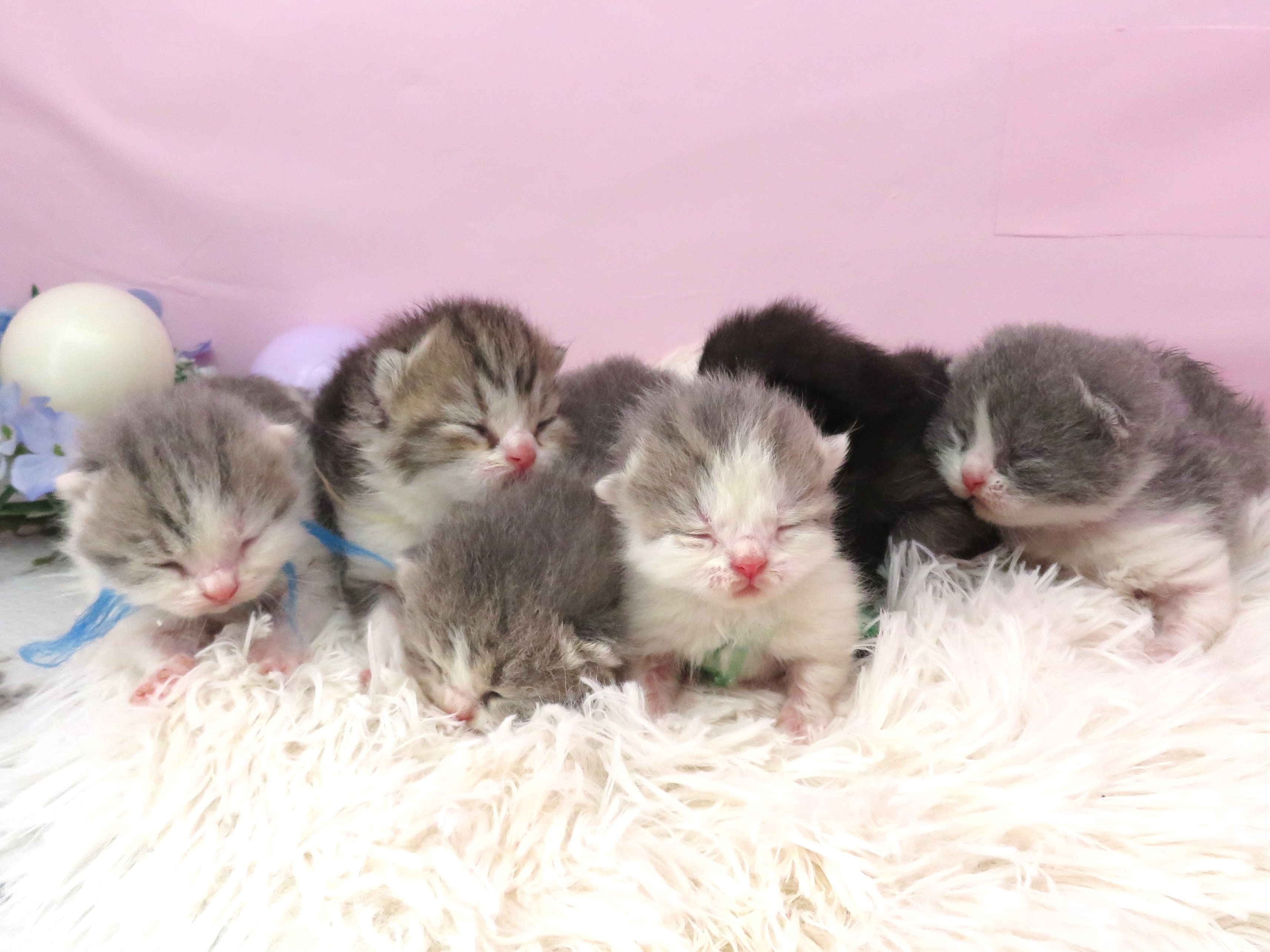 赤ちゃん写真1-3