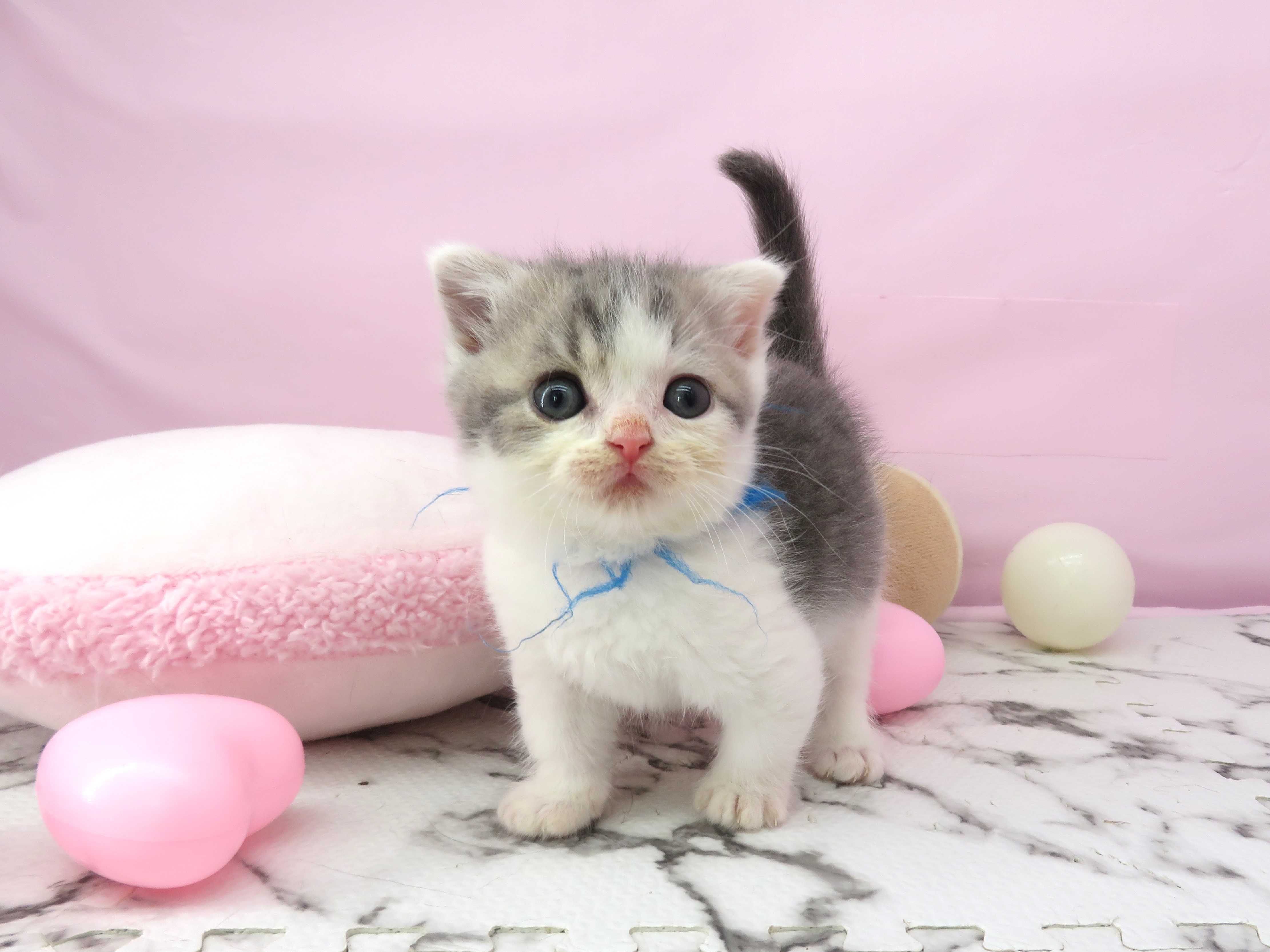 赤ちゃん写真2-1