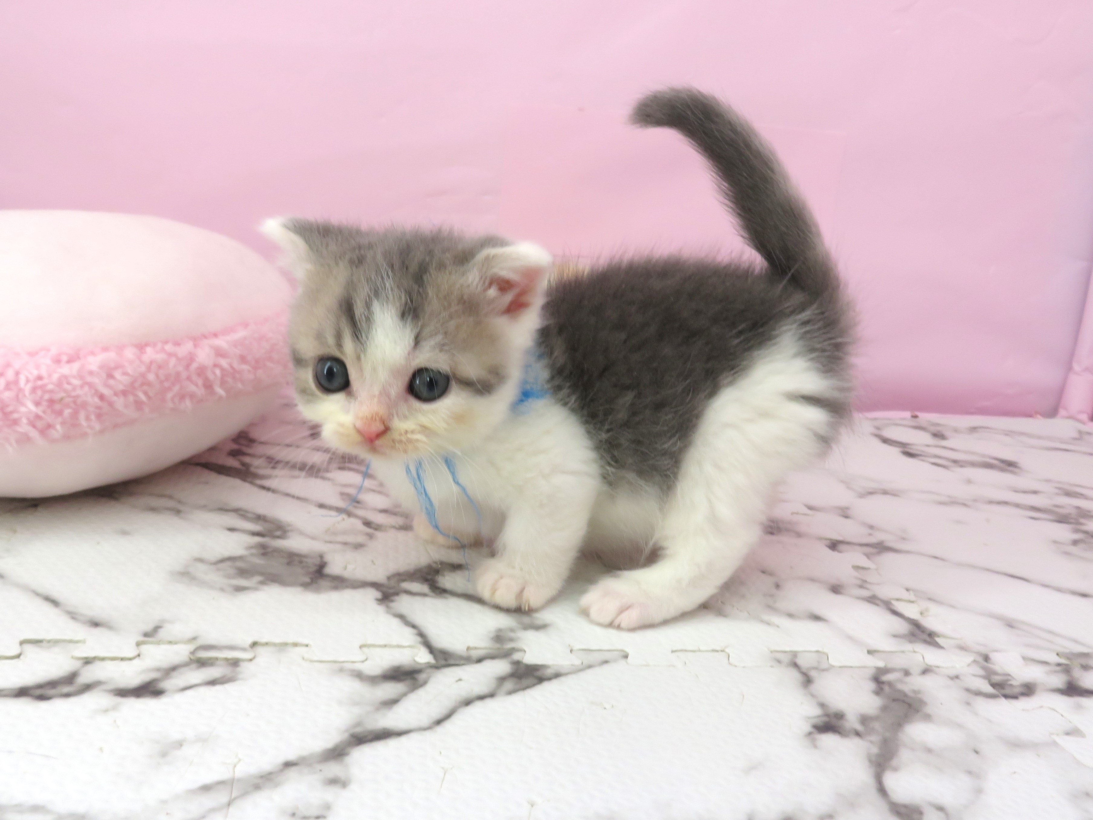 赤ちゃん写真2-2