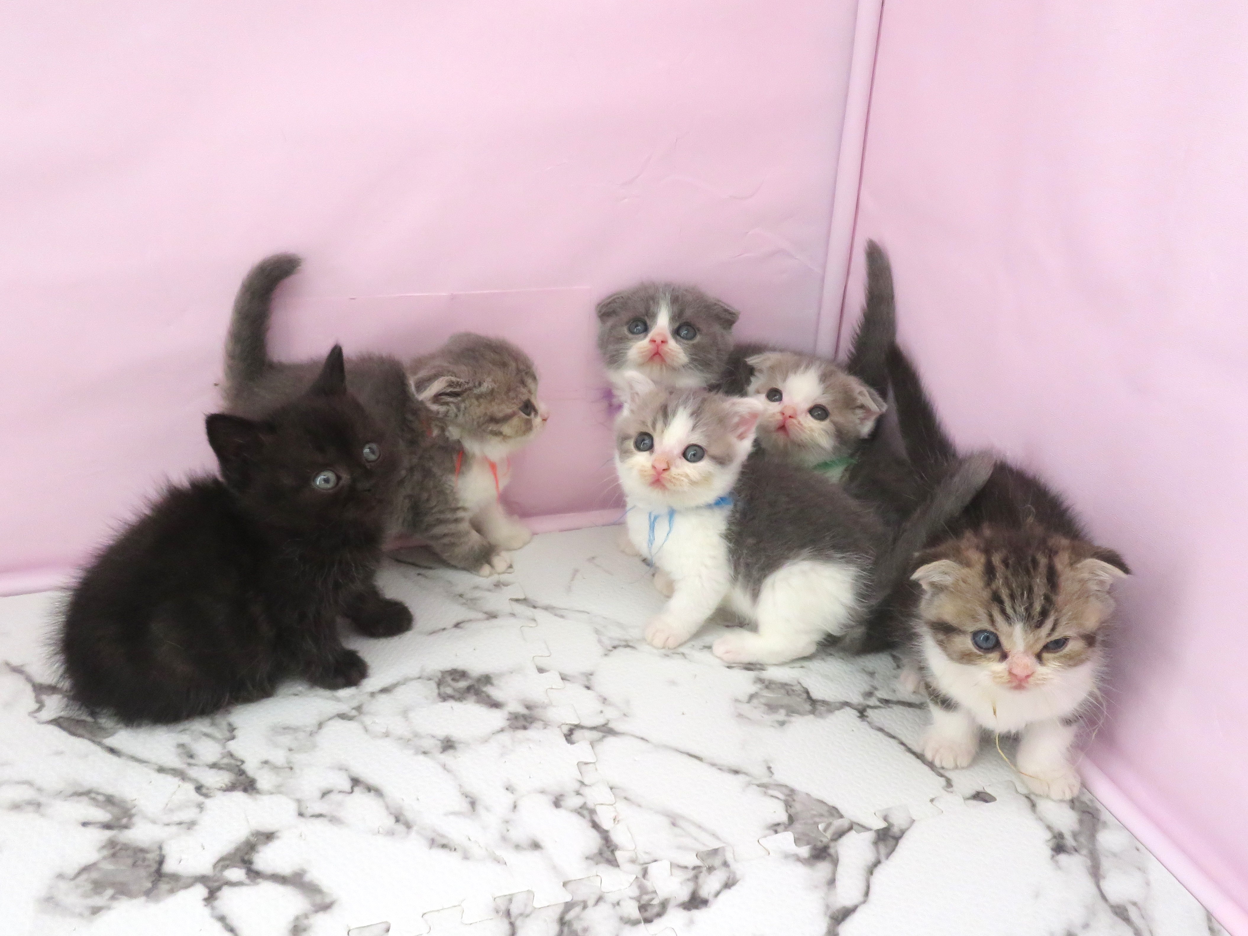 赤ちゃん写真2-3