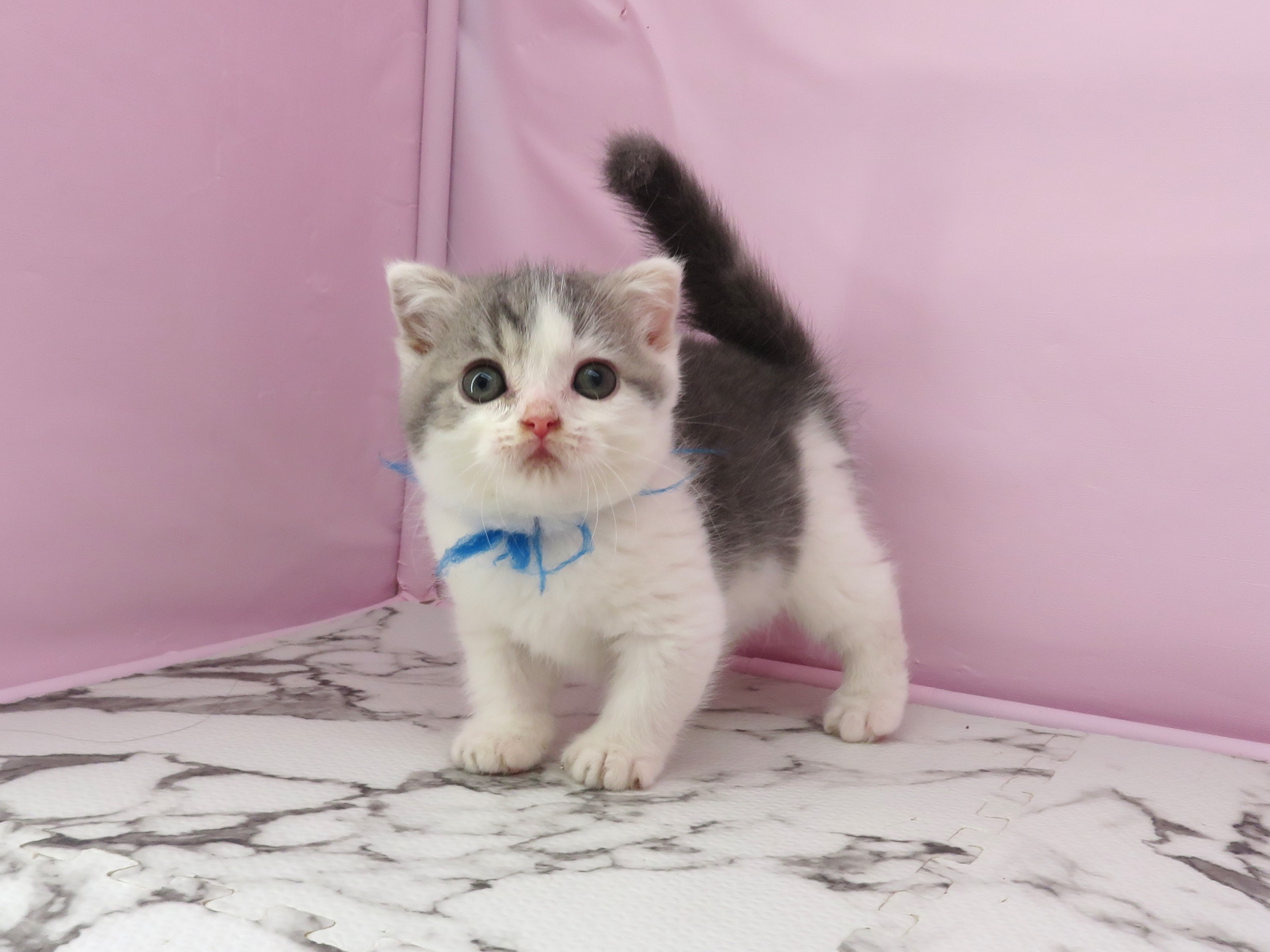 赤ちゃん写真3-1