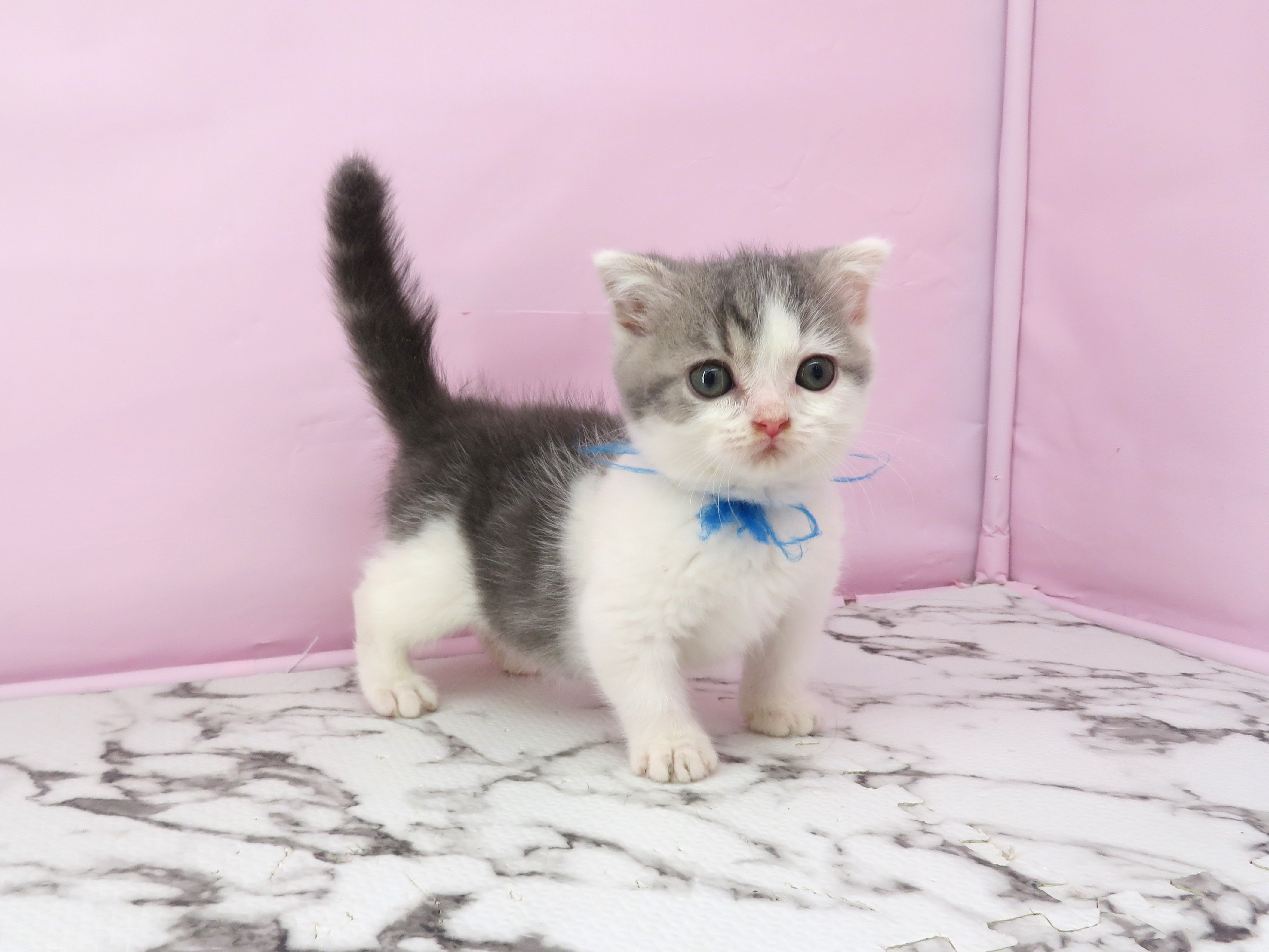 赤ちゃん写真3-2