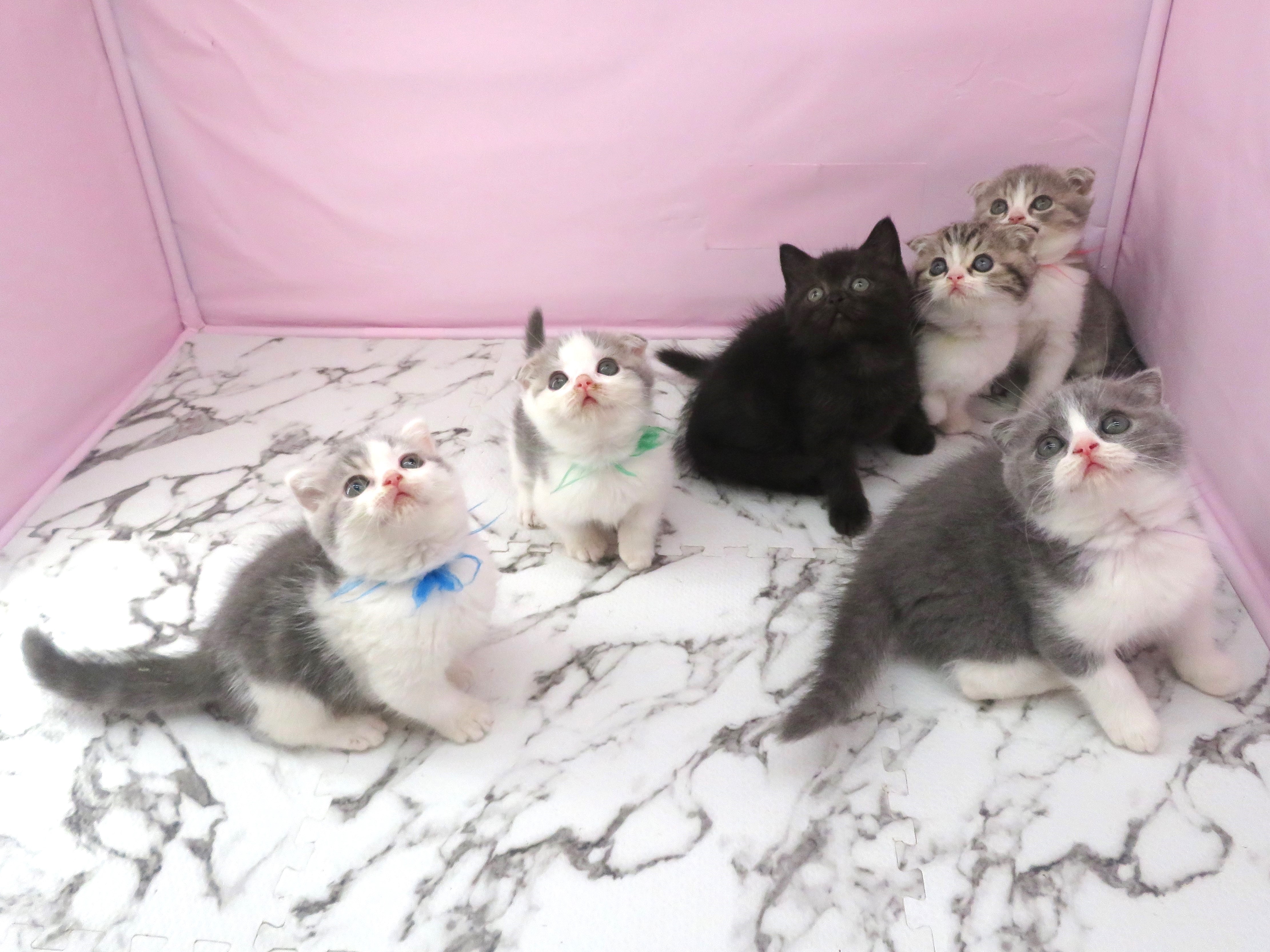 赤ちゃん写真3-3