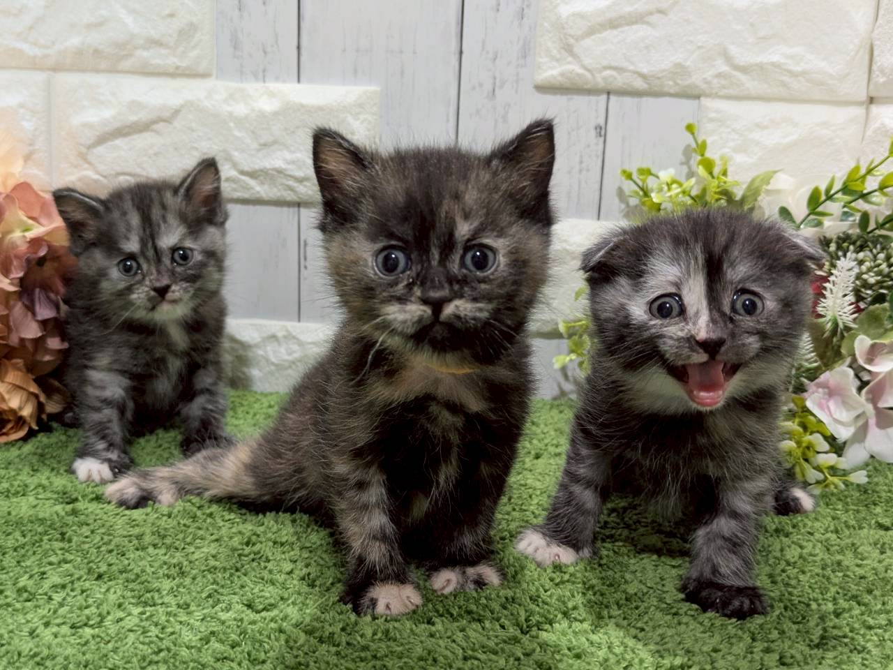 赤ちゃん写真2-3