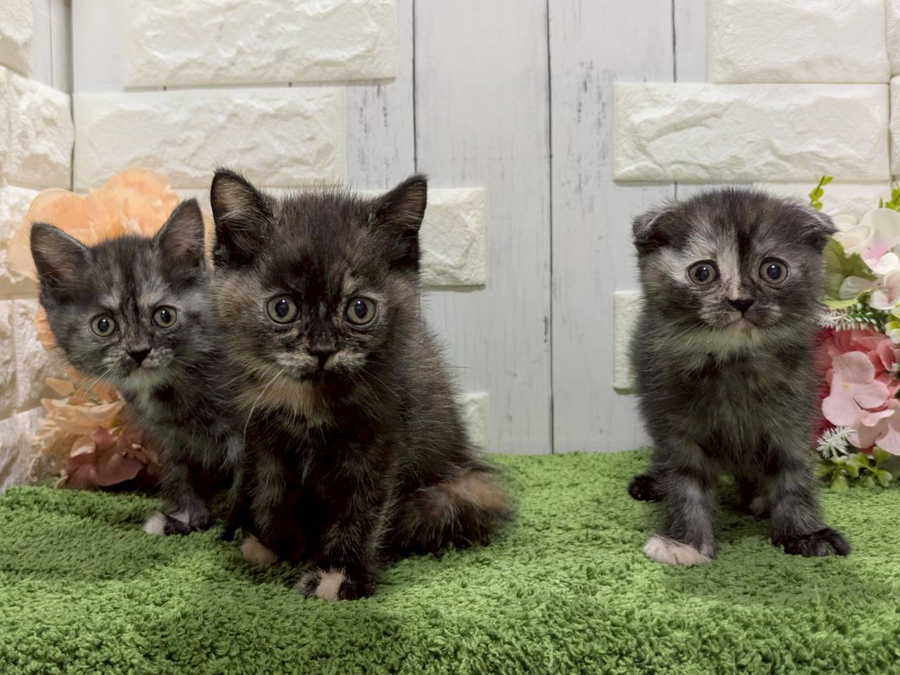 赤ちゃん写真3-3