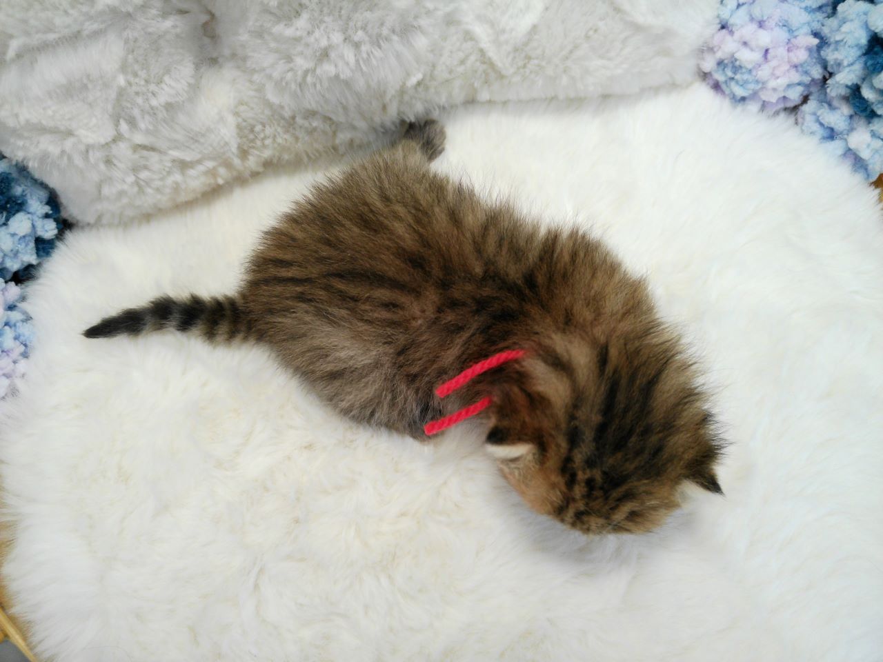 赤ちゃん写真1-3