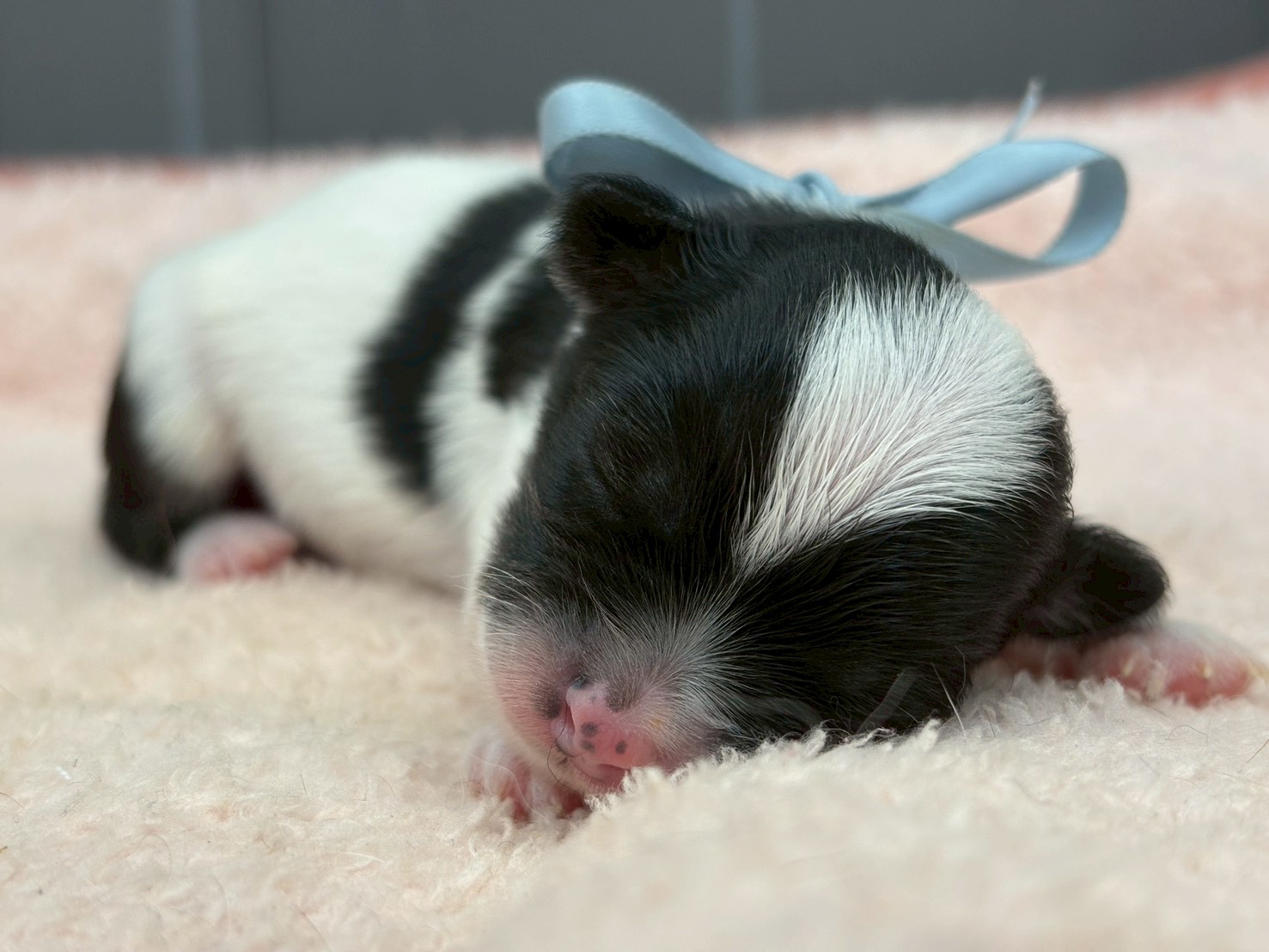 赤ちゃん写真1-1