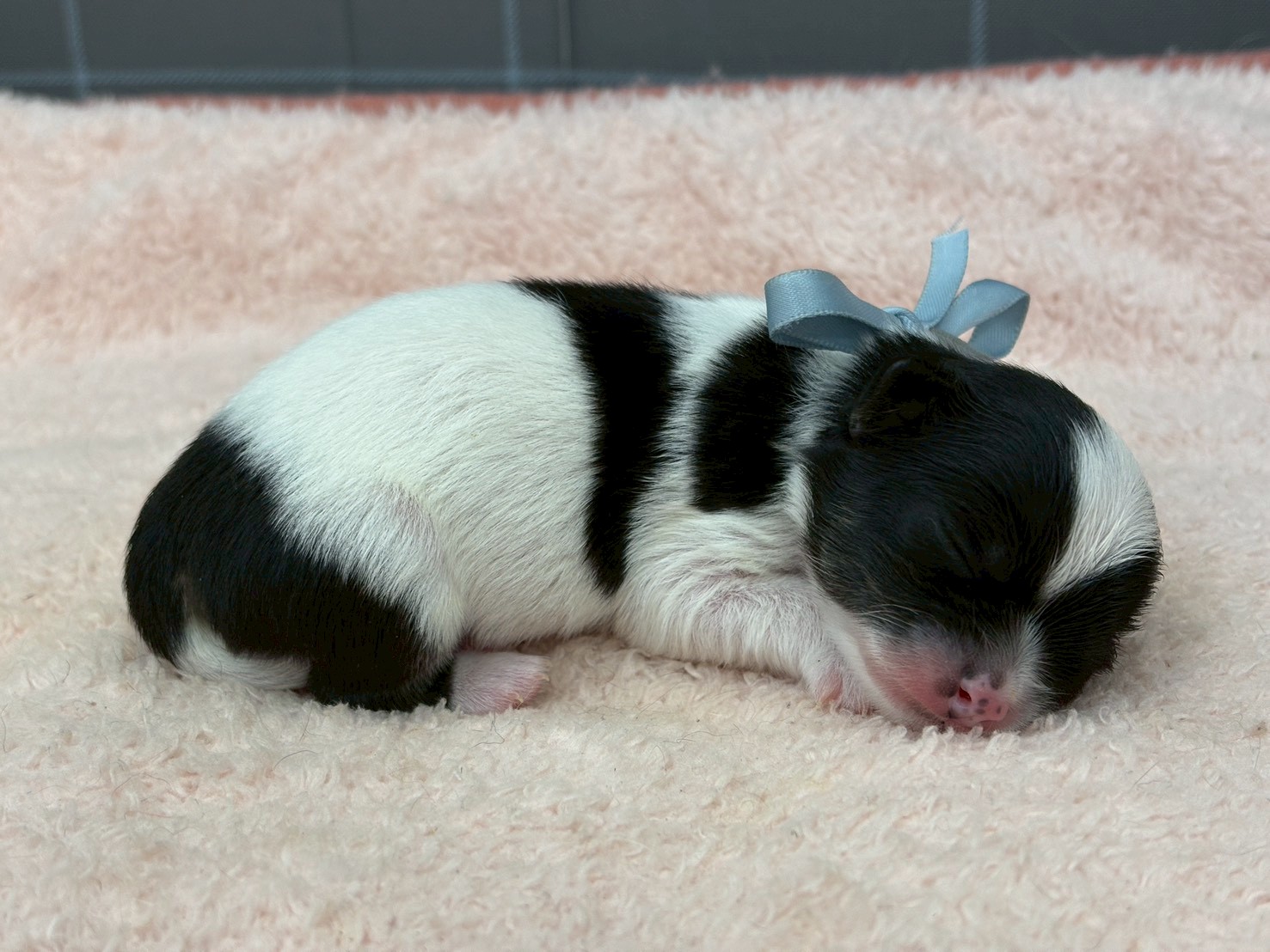 赤ちゃん写真1-2