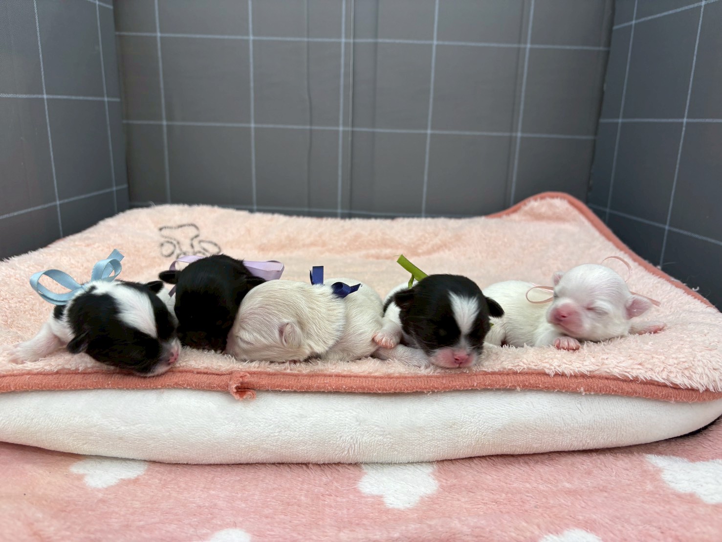 赤ちゃん写真1-3