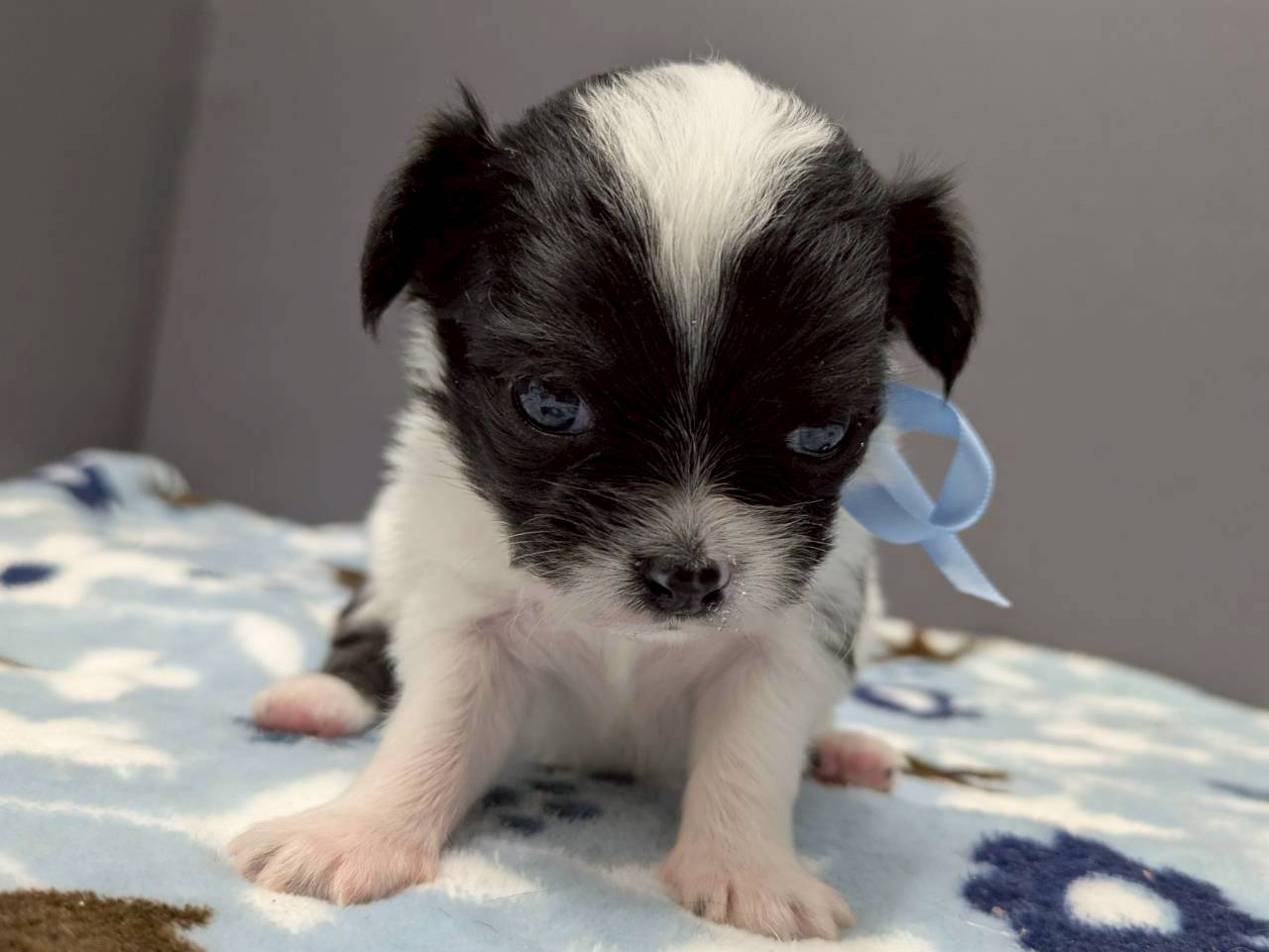 赤ちゃん写真2-1