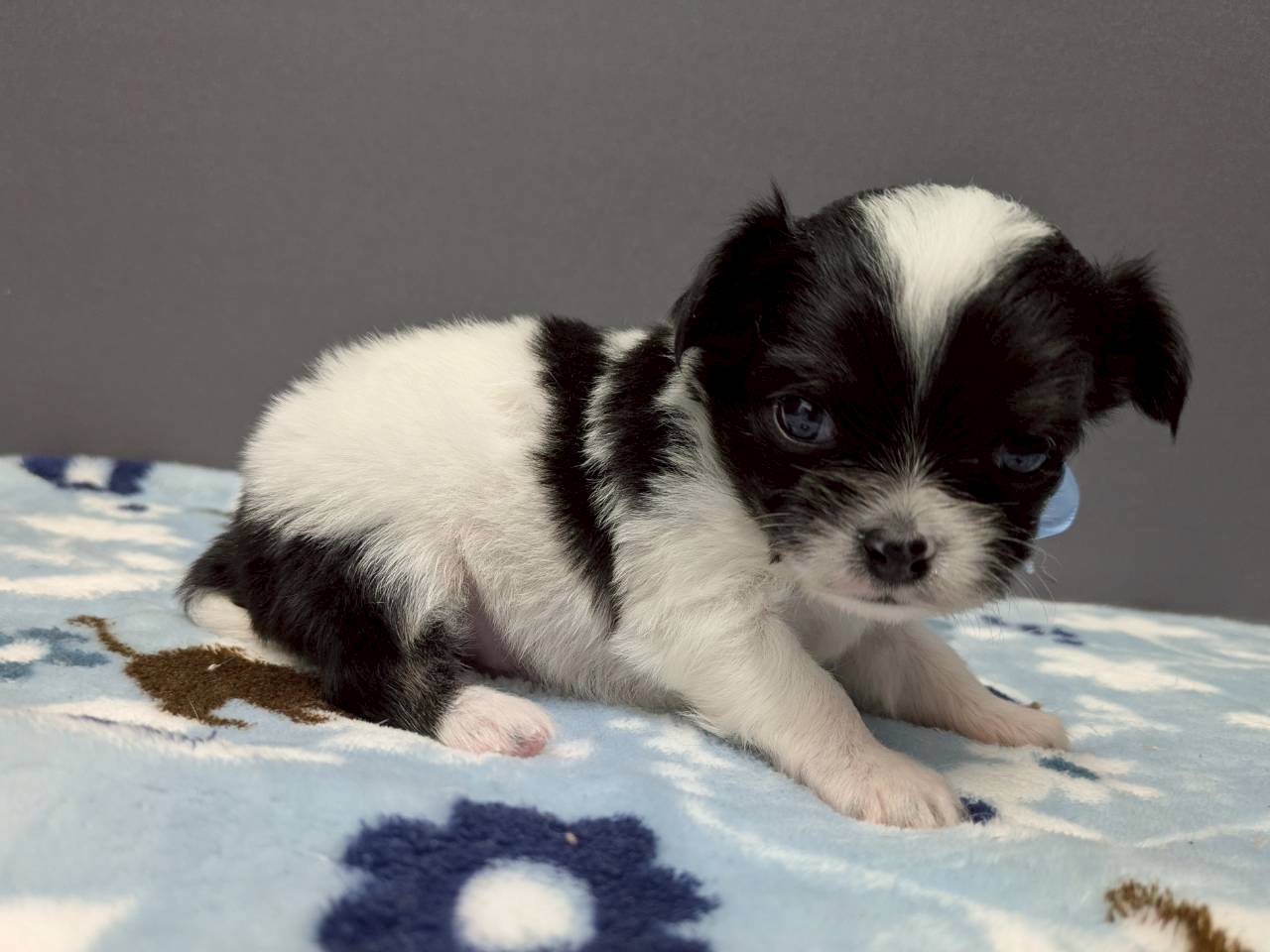 赤ちゃん写真2-2