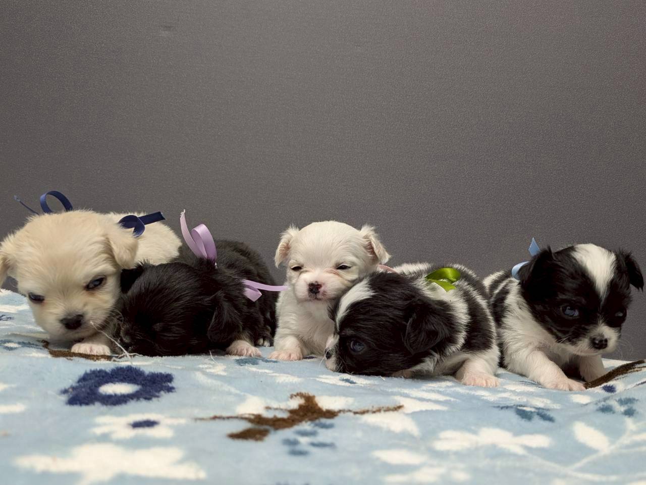 赤ちゃん写真2-3