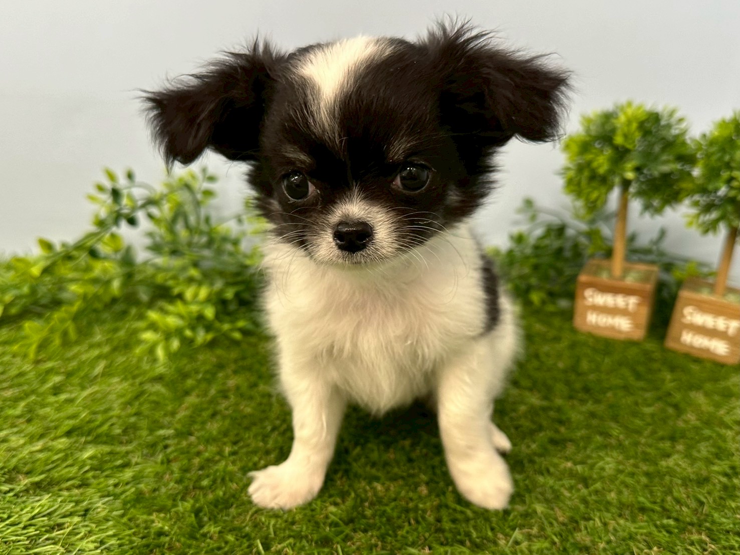 赤ちゃん写真3-1