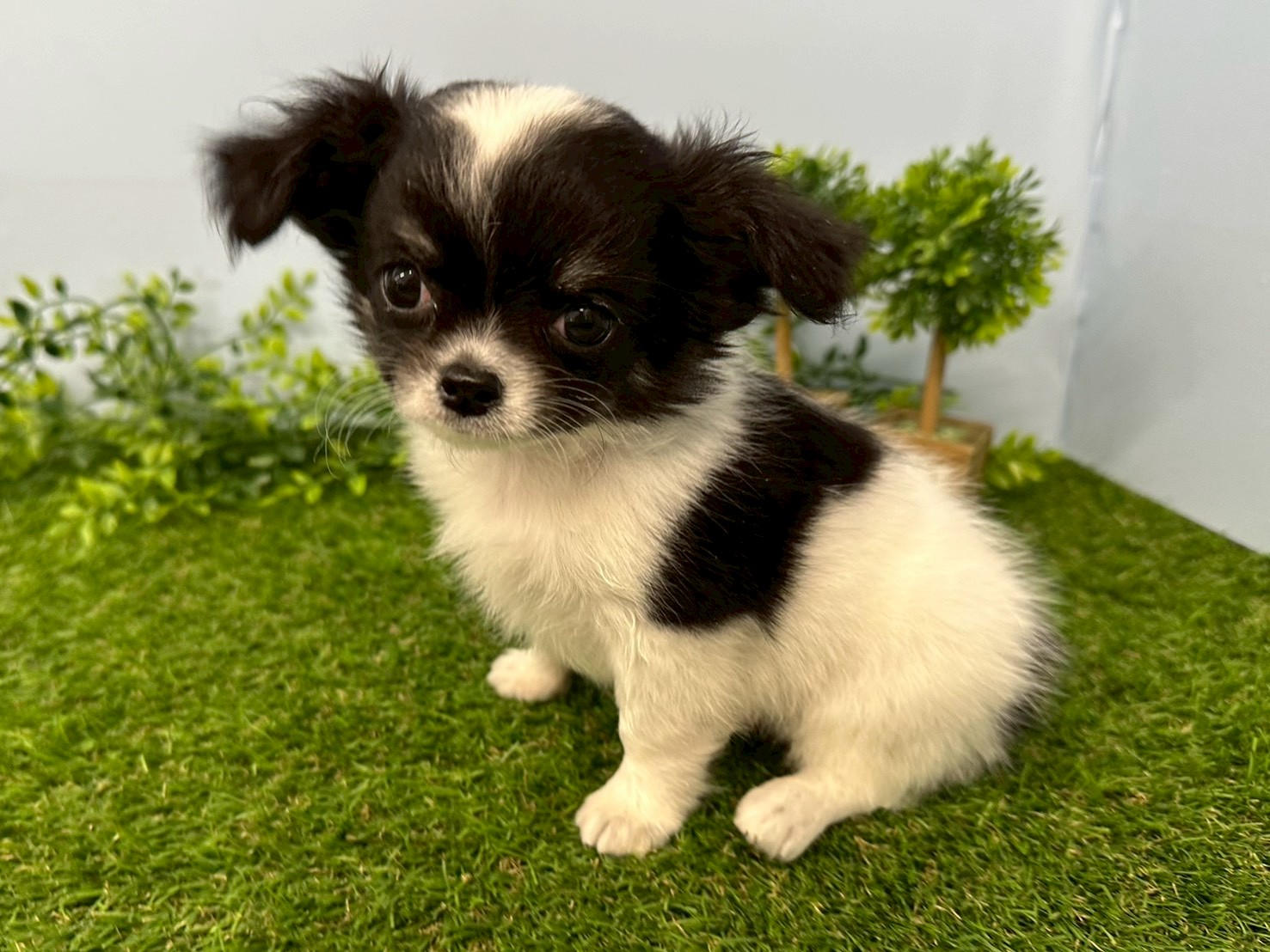 赤ちゃん写真3-2