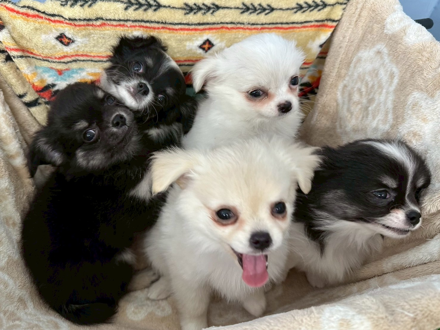 赤ちゃん写真3-3