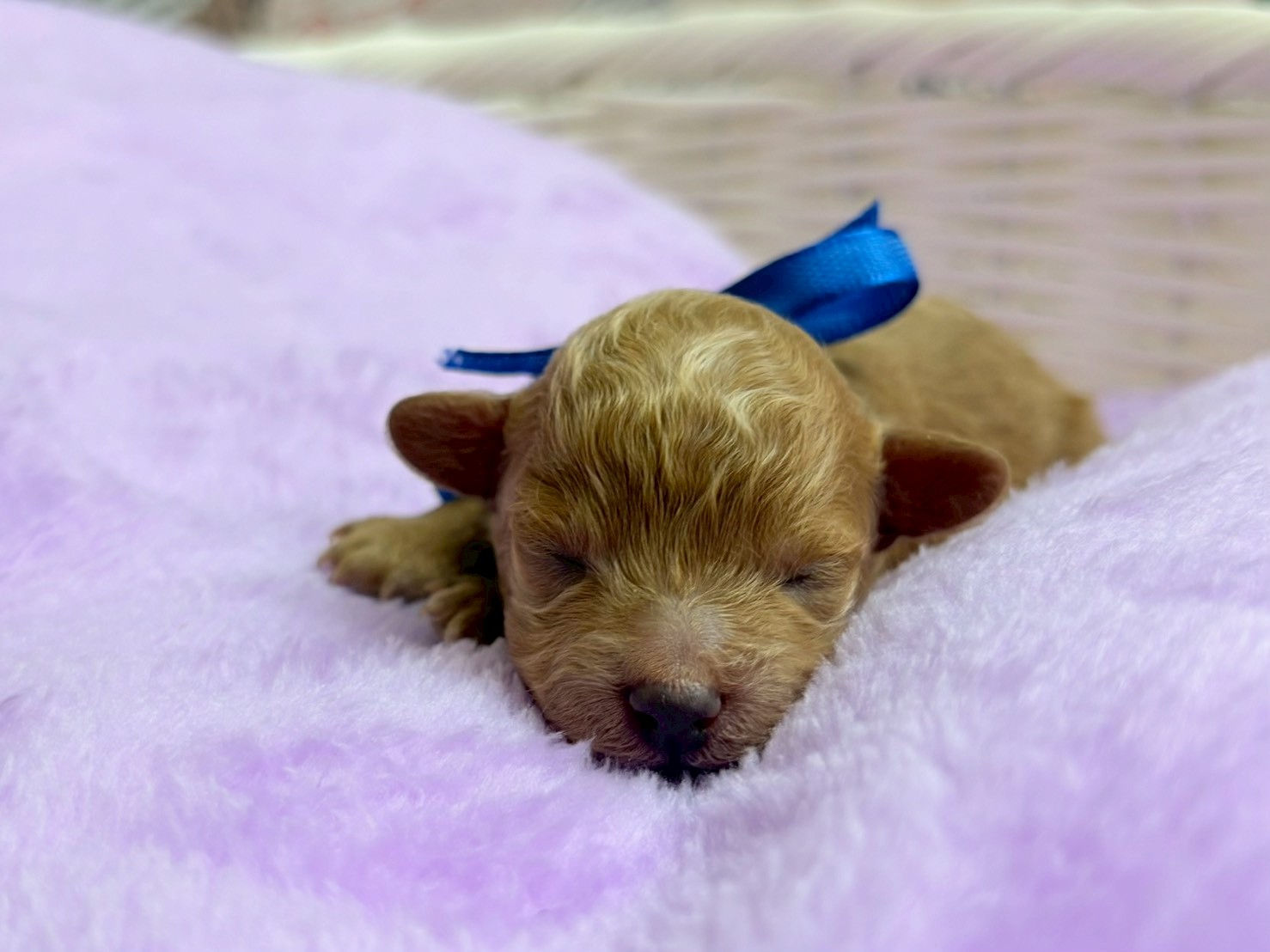 赤ちゃん写真1-1