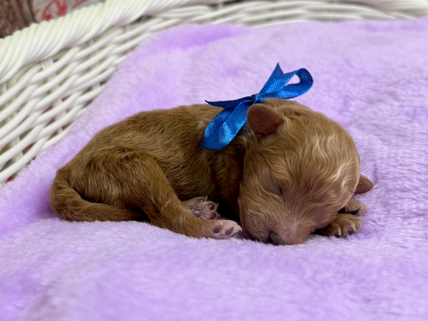 赤ちゃん写真1-2