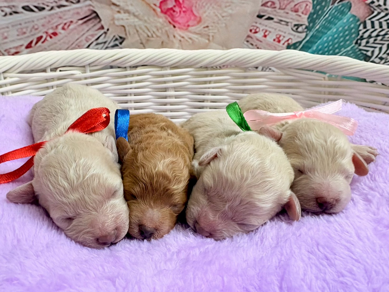 赤ちゃん写真1-3