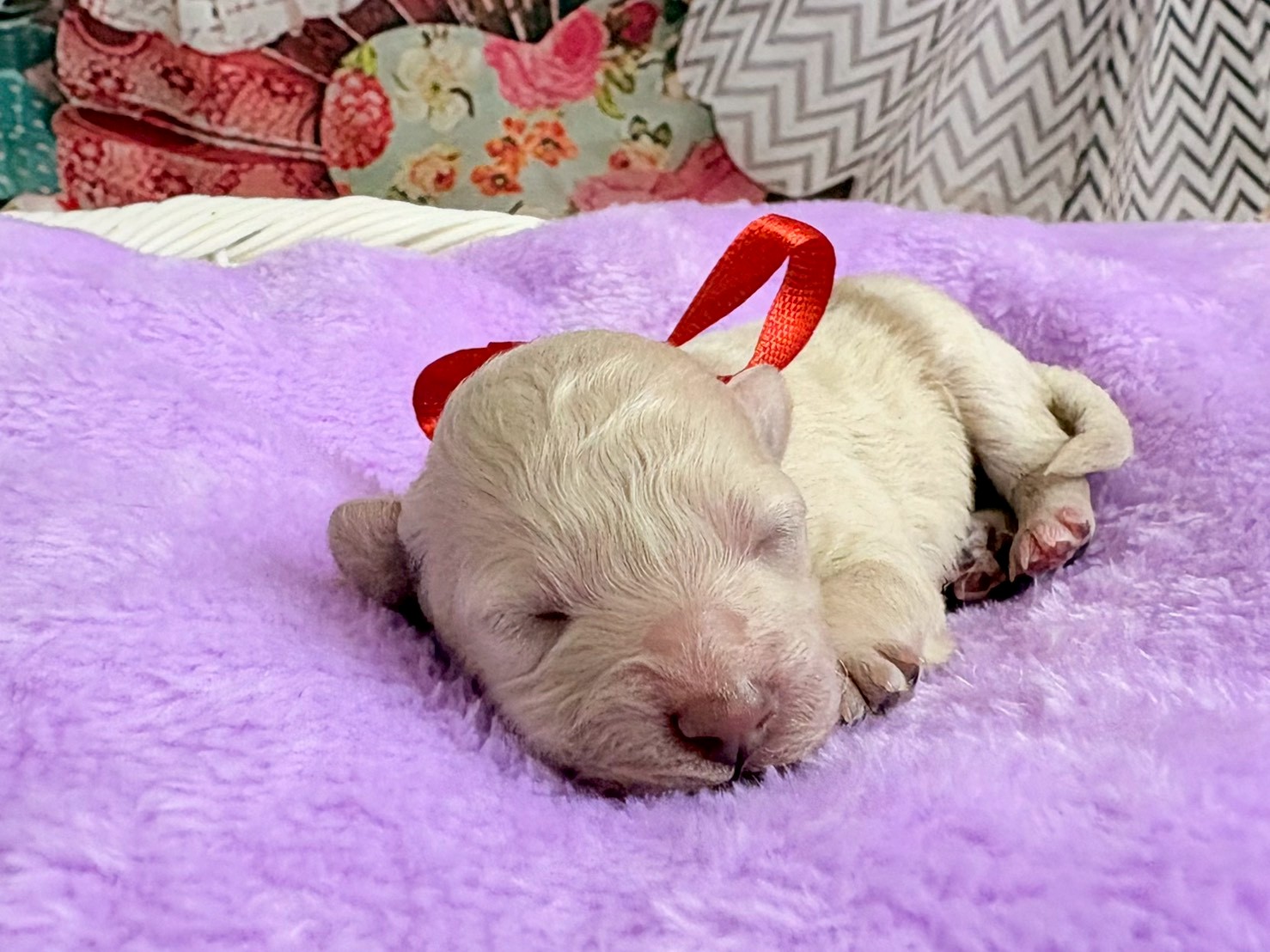 赤ちゃん写真1-1