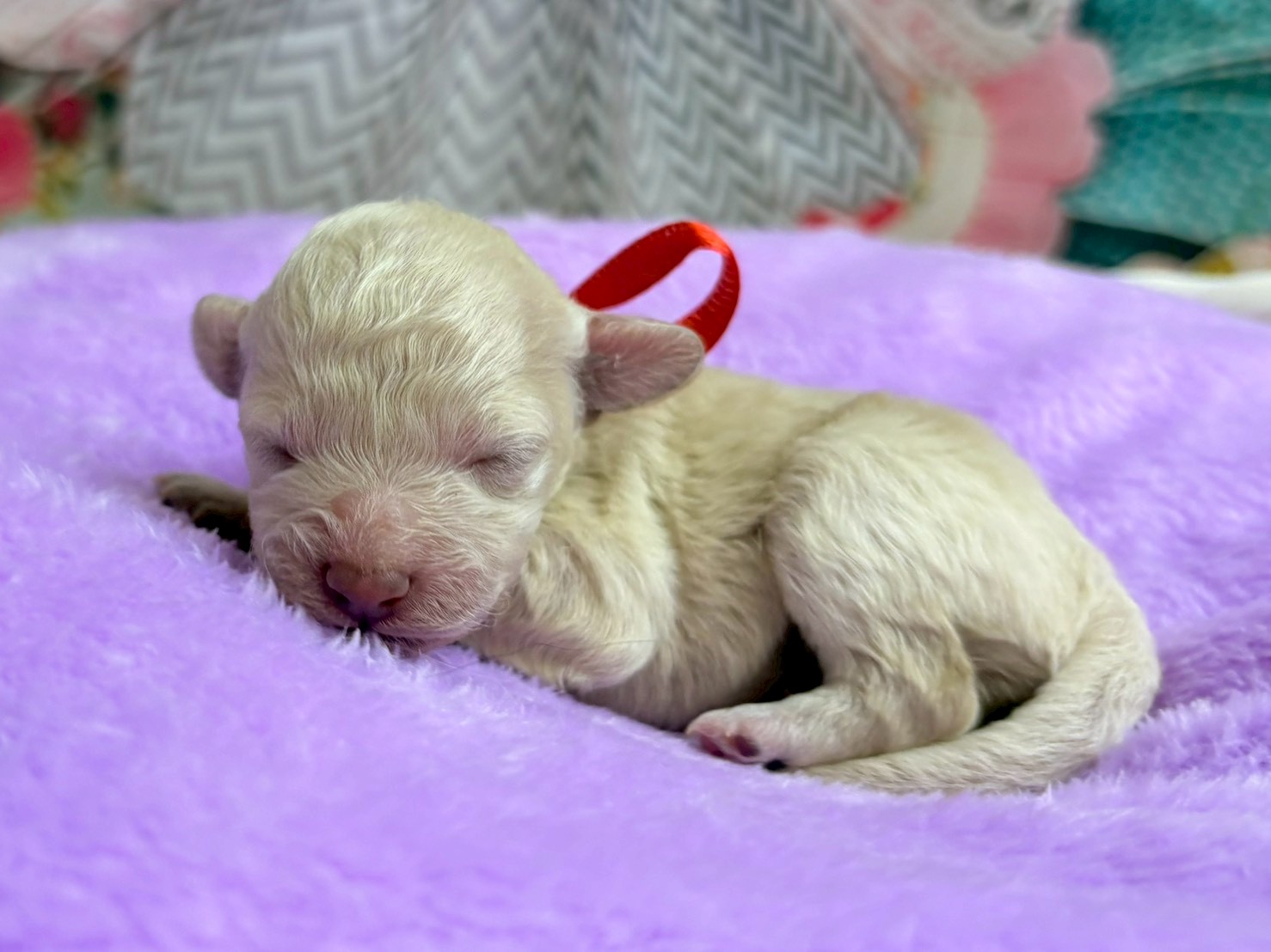 赤ちゃん写真1-2