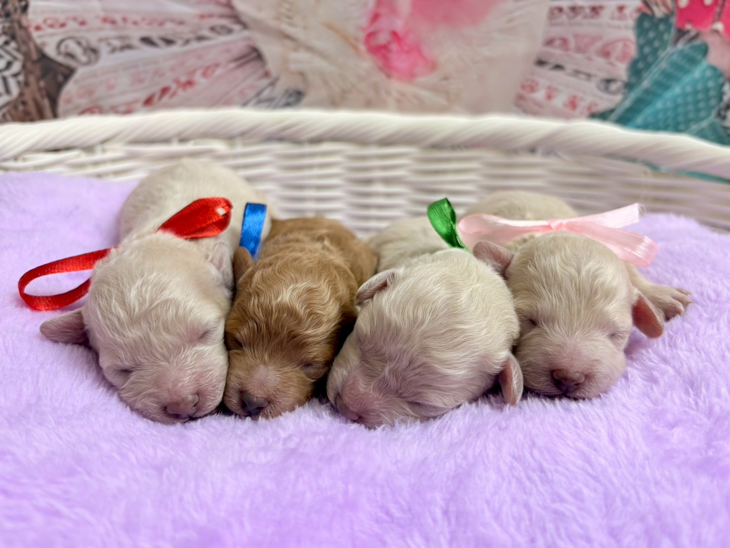 赤ちゃん写真1-3