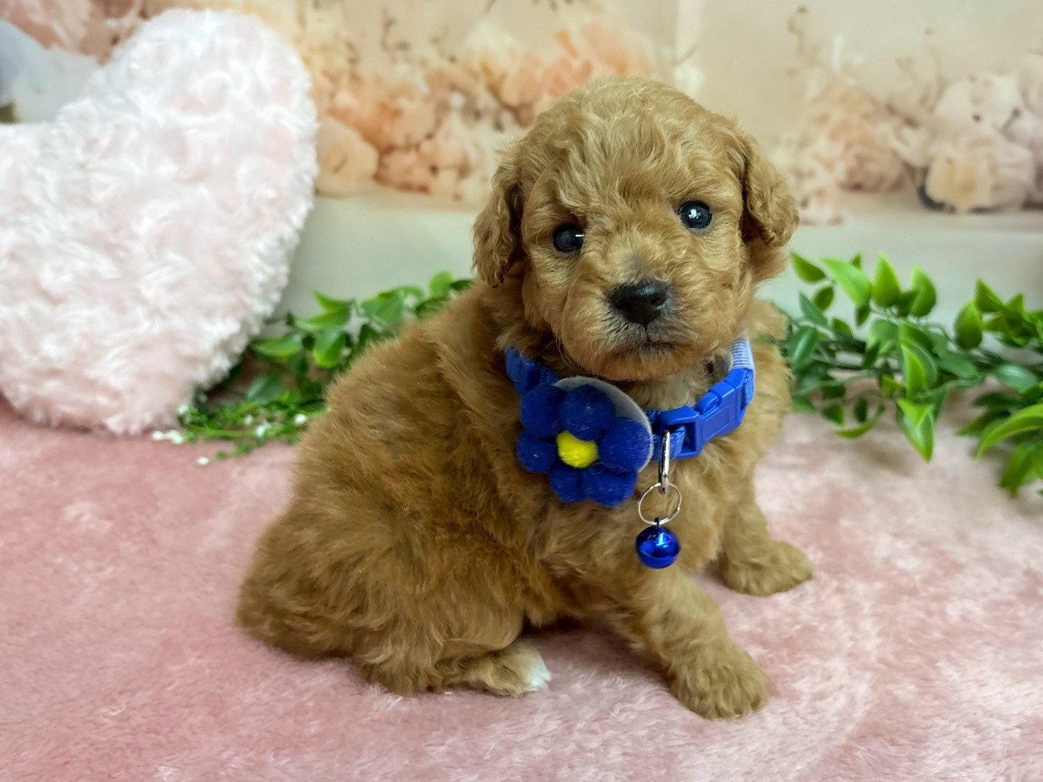 赤ちゃん写真2-2