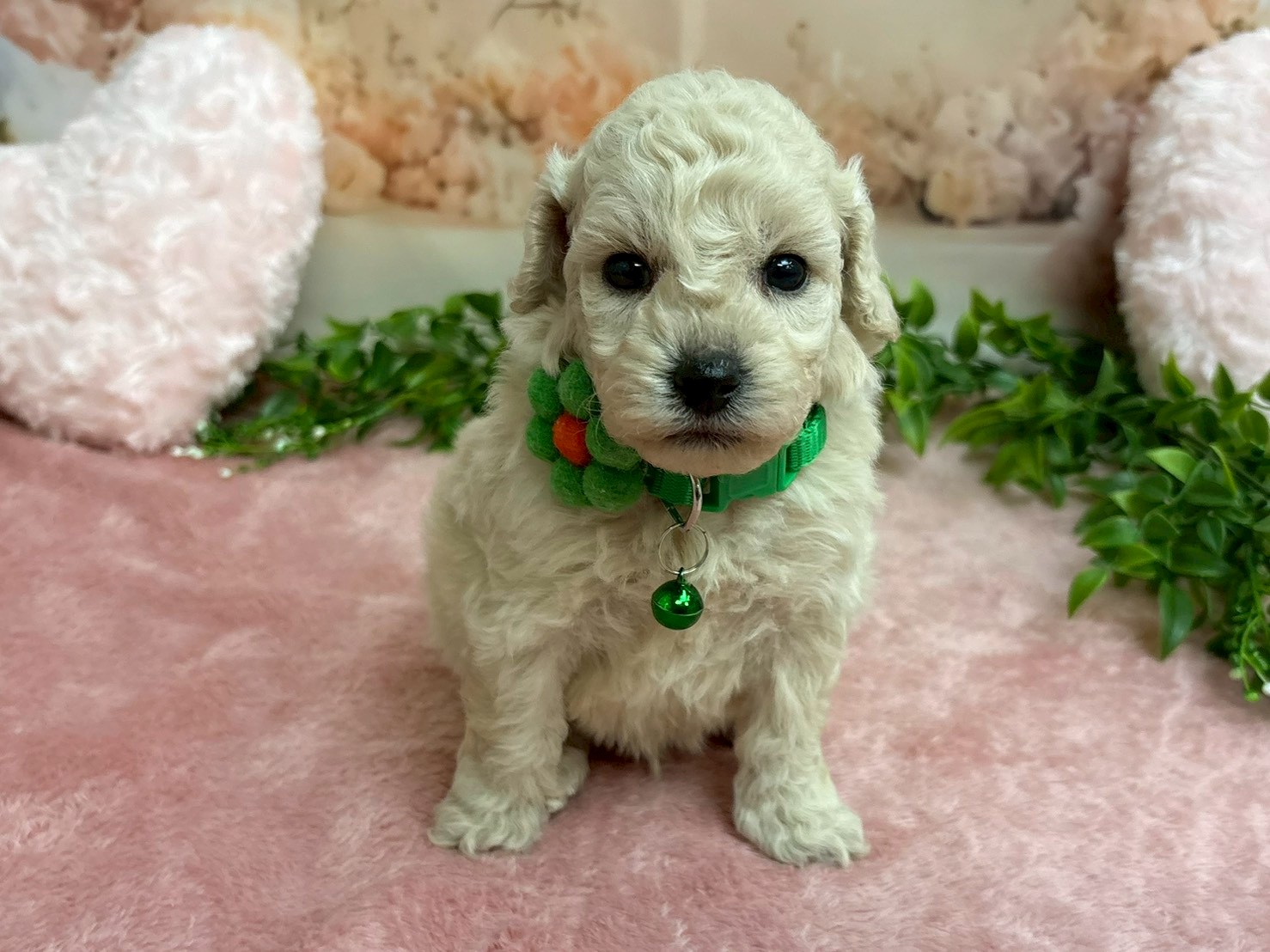 赤ちゃん写真2-1