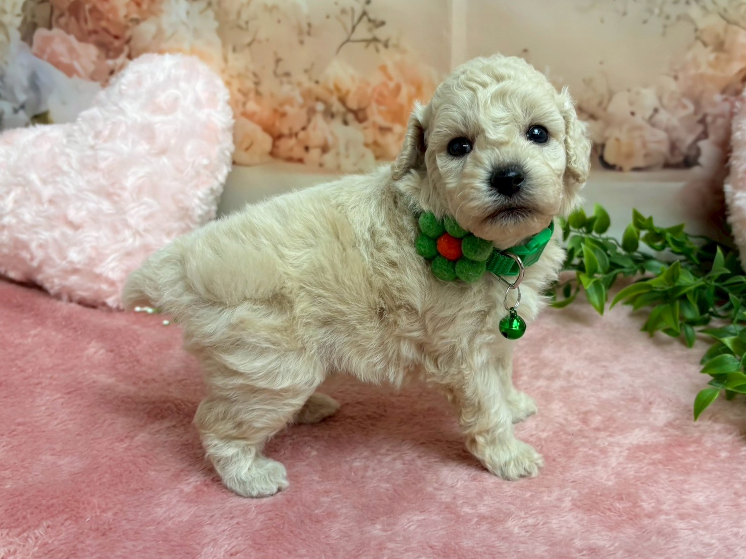 赤ちゃん写真2-2