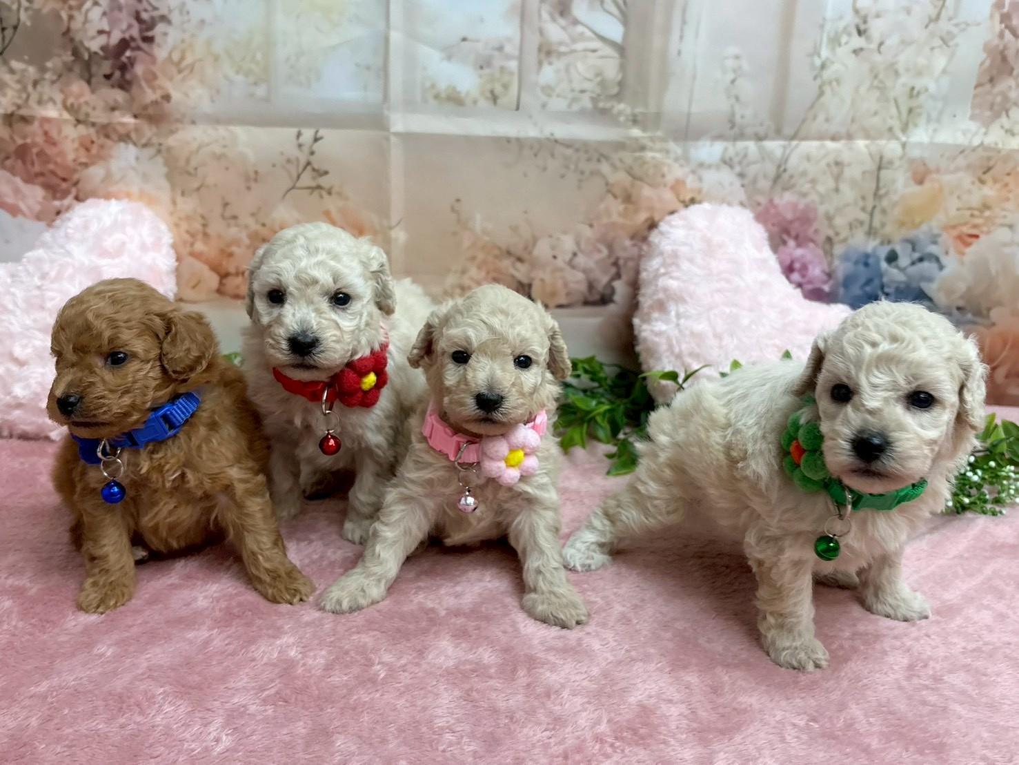 赤ちゃん写真2-3