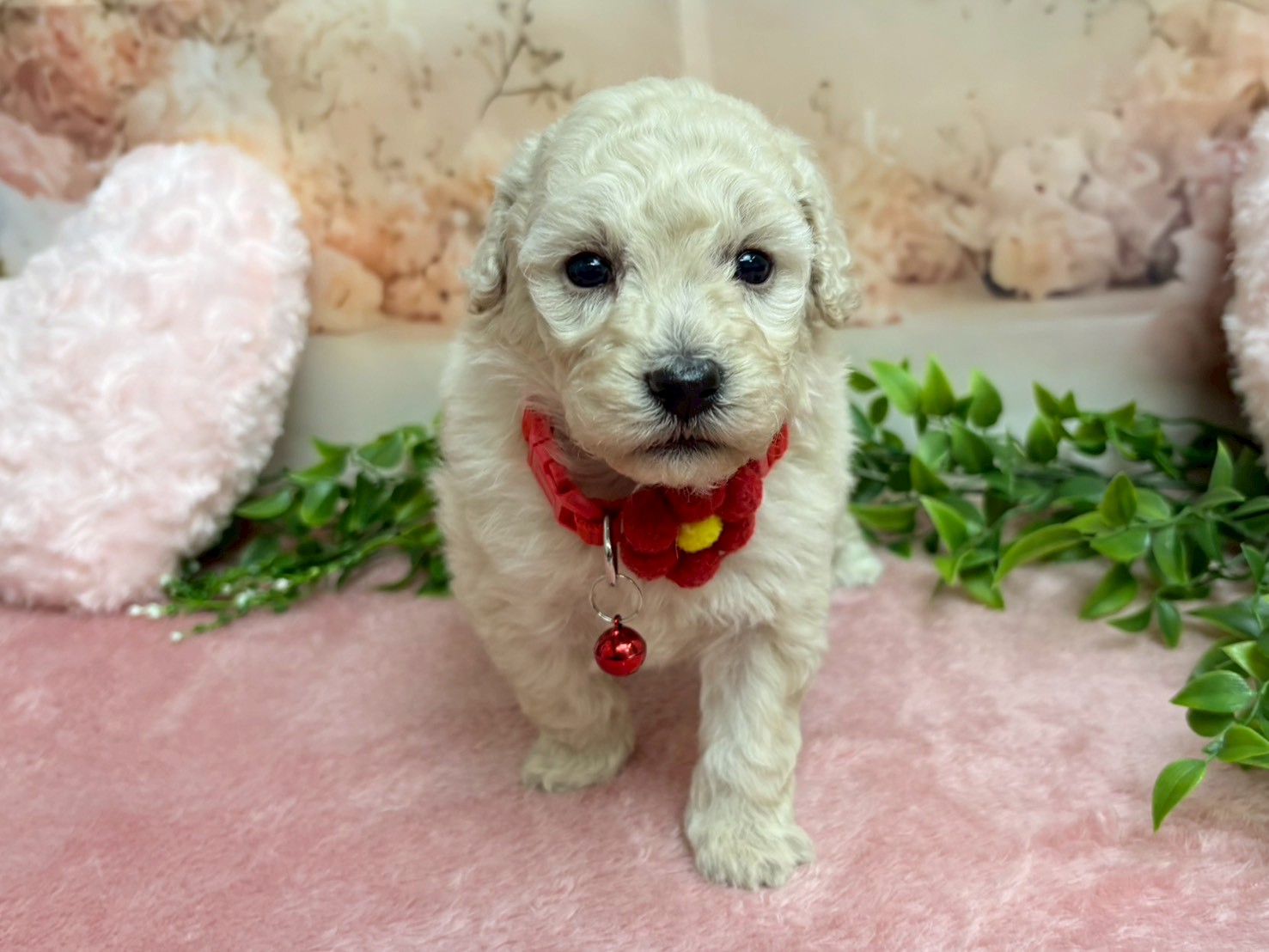 赤ちゃん写真2-1