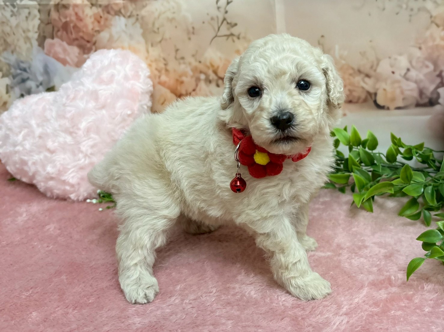 赤ちゃん写真2-2