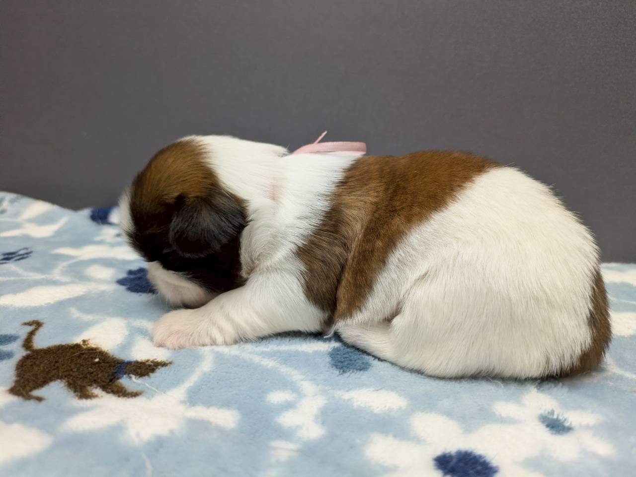 赤ちゃん写真2-2