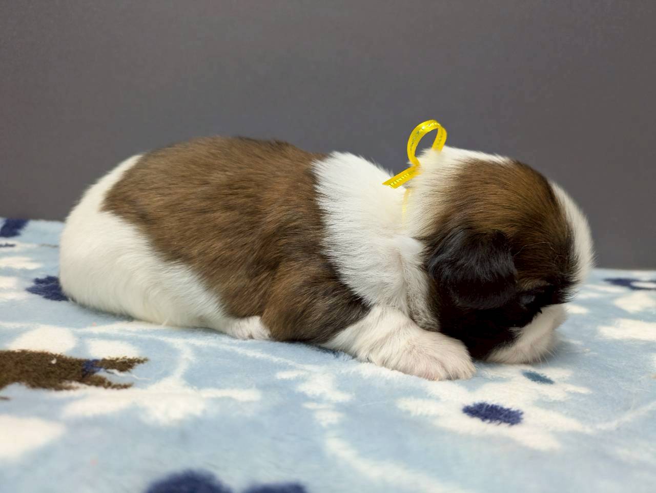 赤ちゃん写真2-2