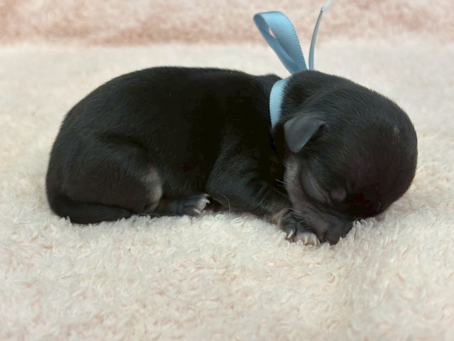 赤ちゃん写真1-2