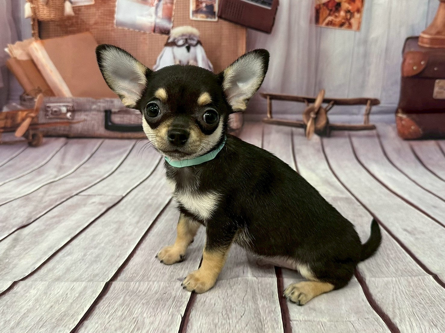 赤ちゃん写真3-2