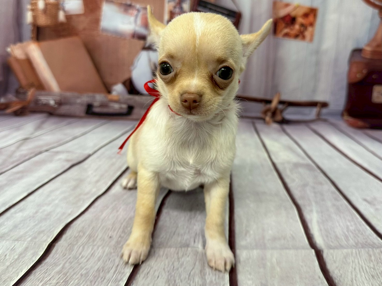 赤ちゃん写真3-1