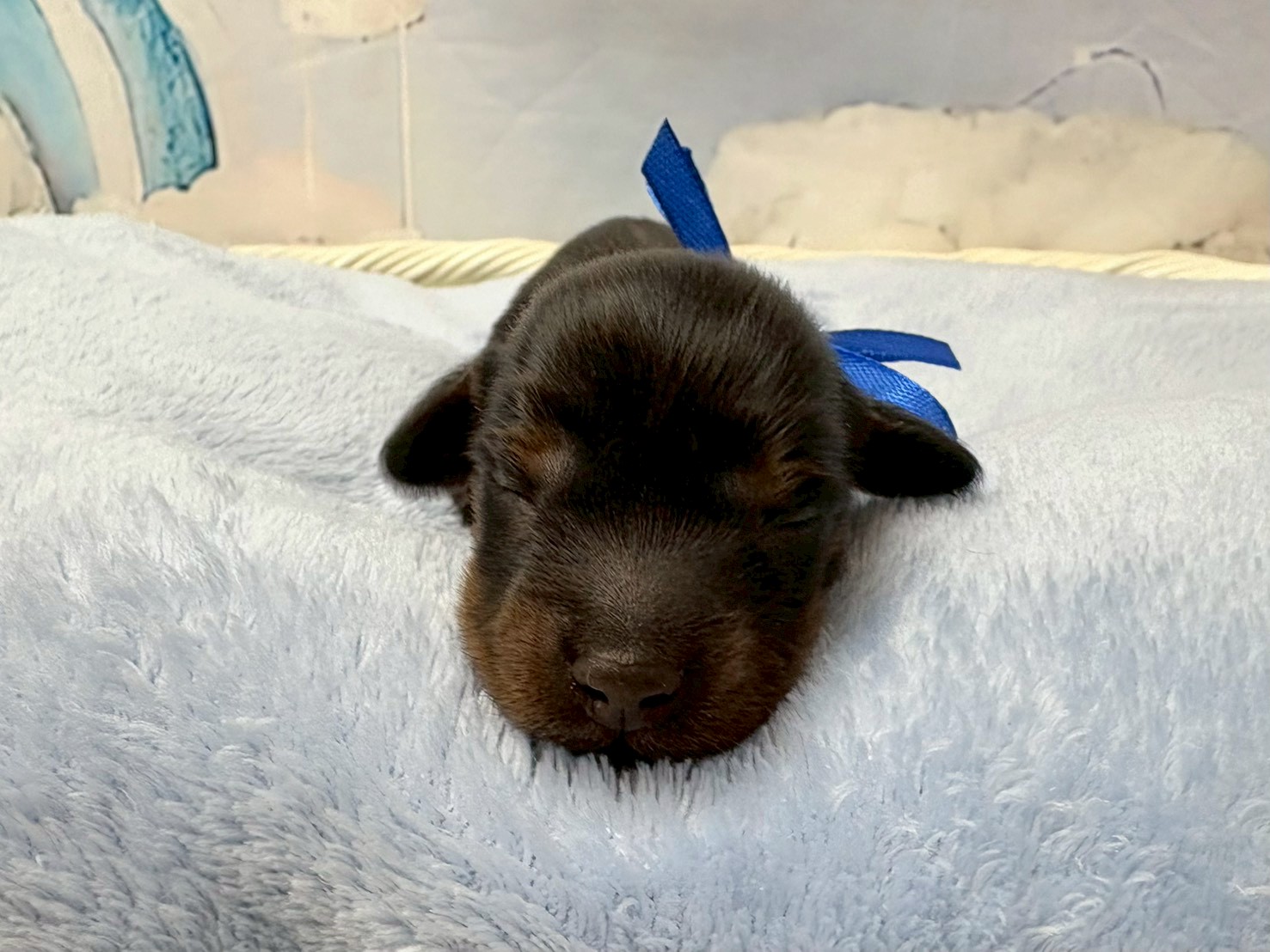 赤ちゃん写真1-1