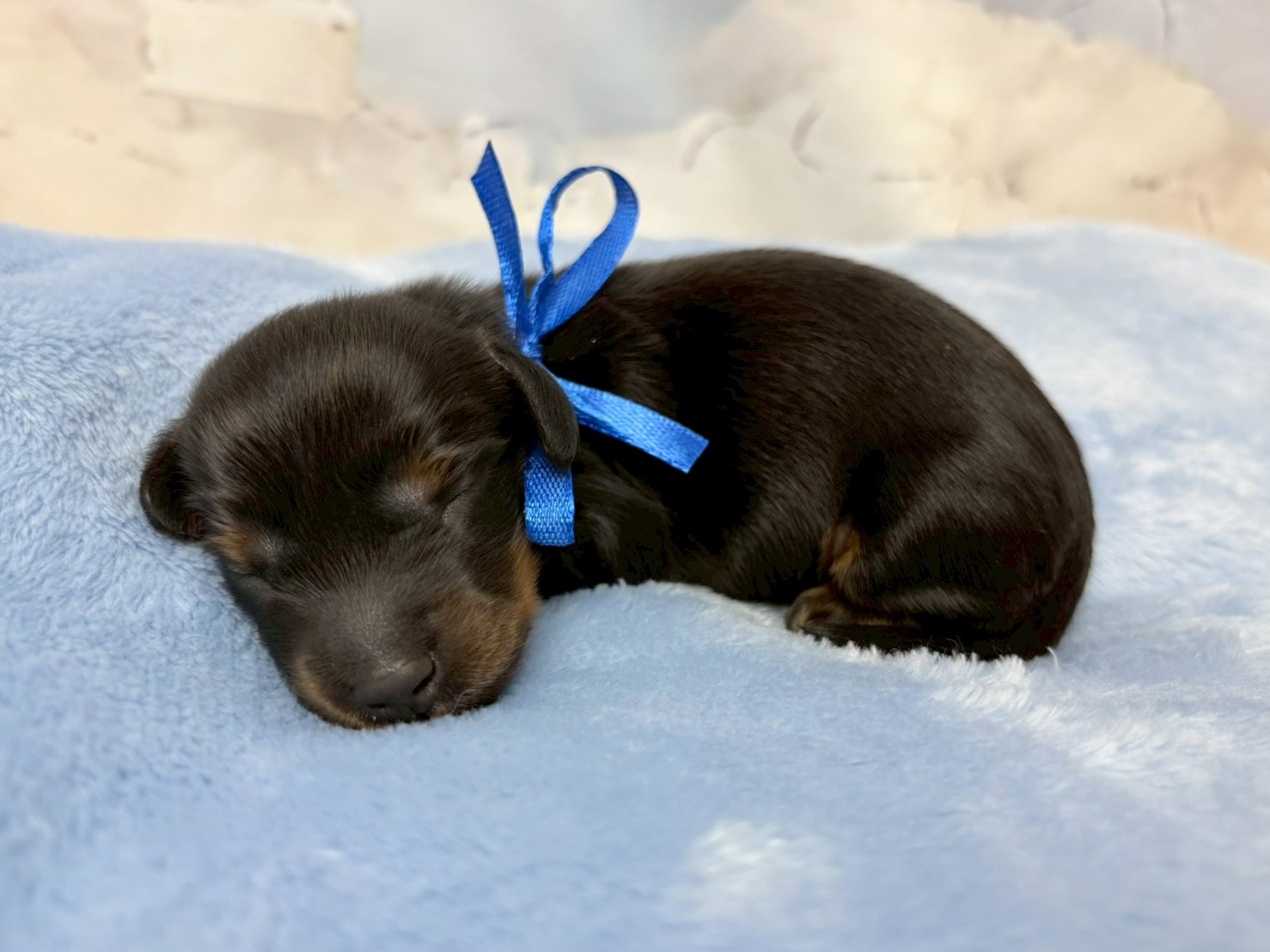 赤ちゃん写真1-2