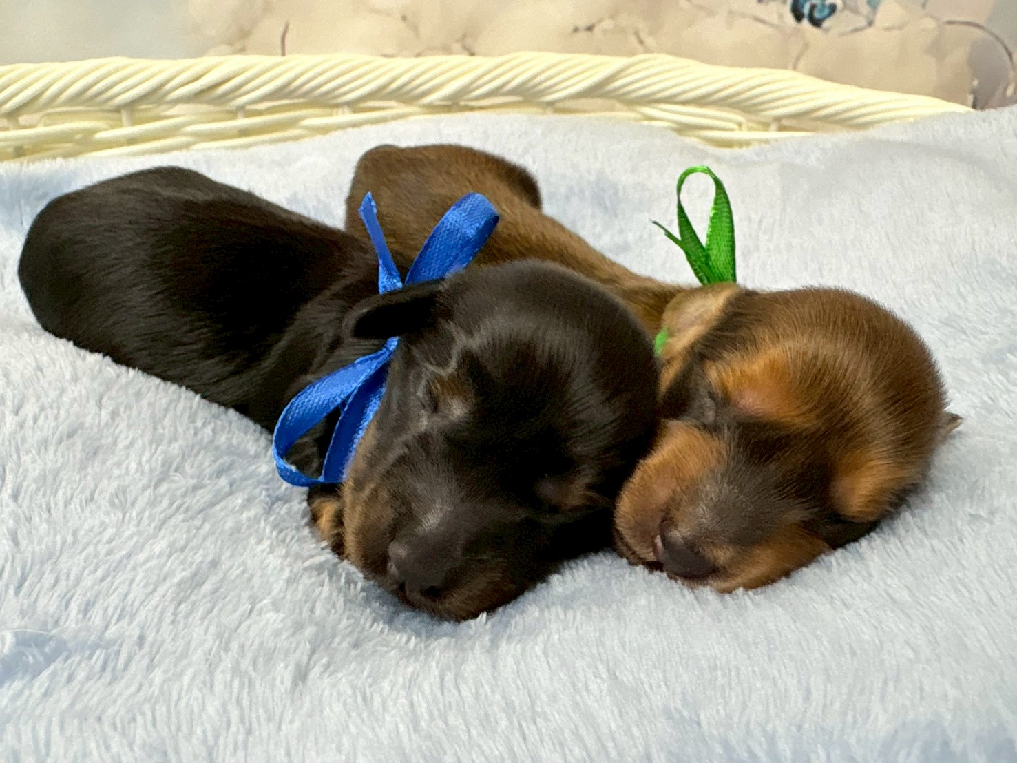 赤ちゃん写真1-3