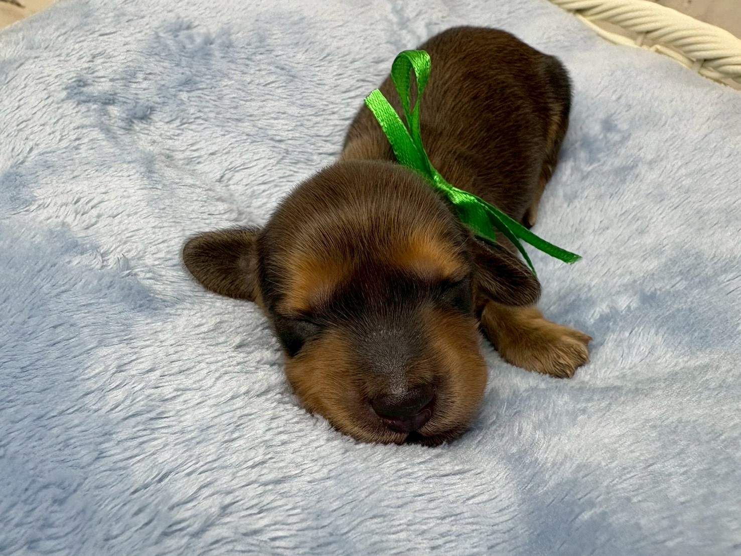 赤ちゃん写真1-1