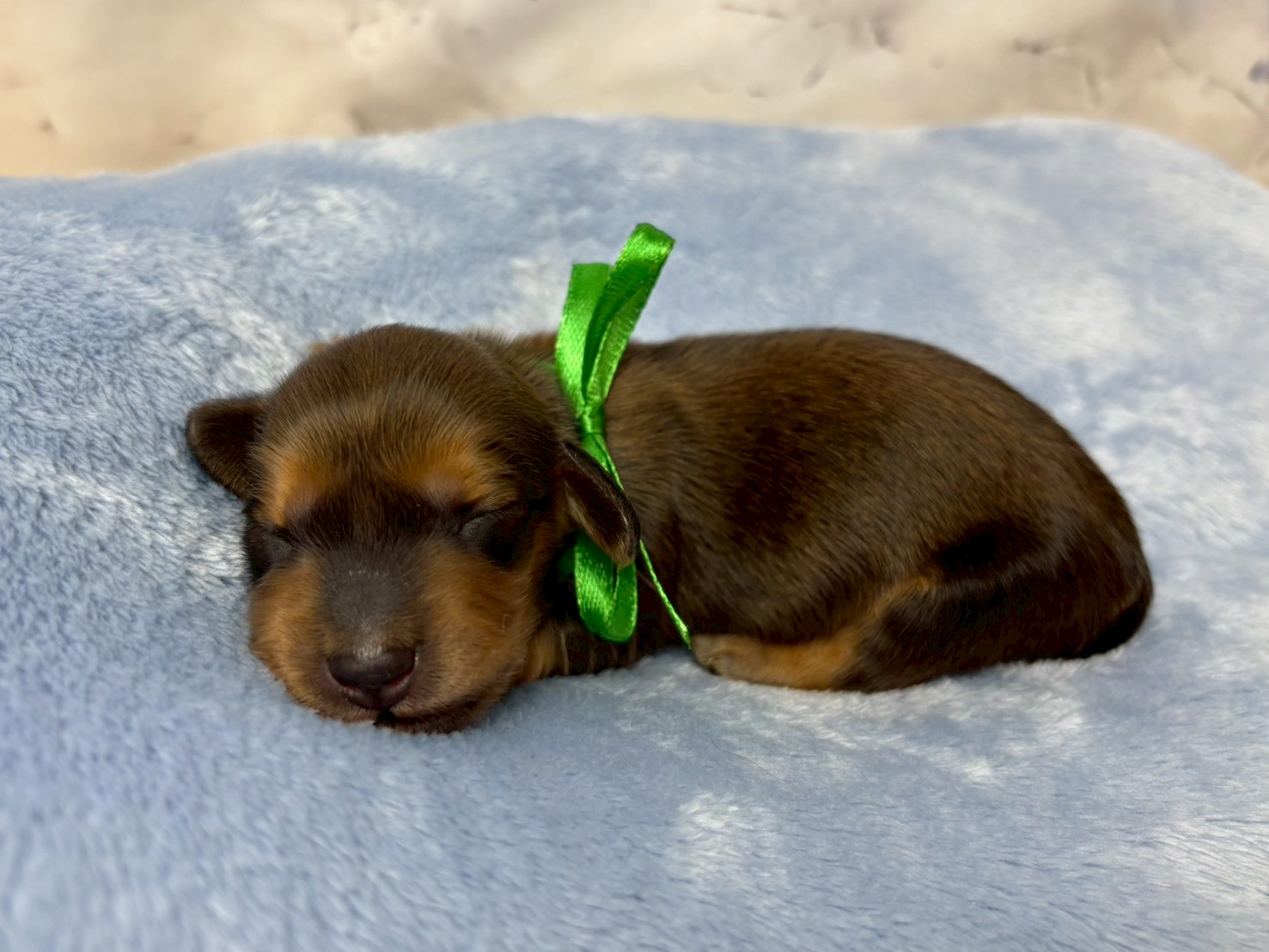 赤ちゃん写真1-2