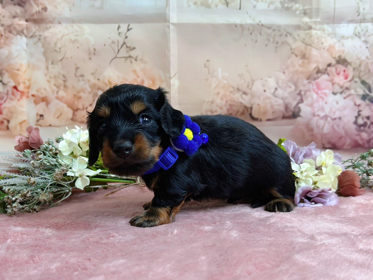 赤ちゃん写真2-1