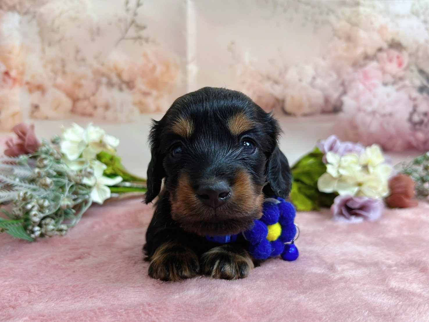 赤ちゃん写真2-2